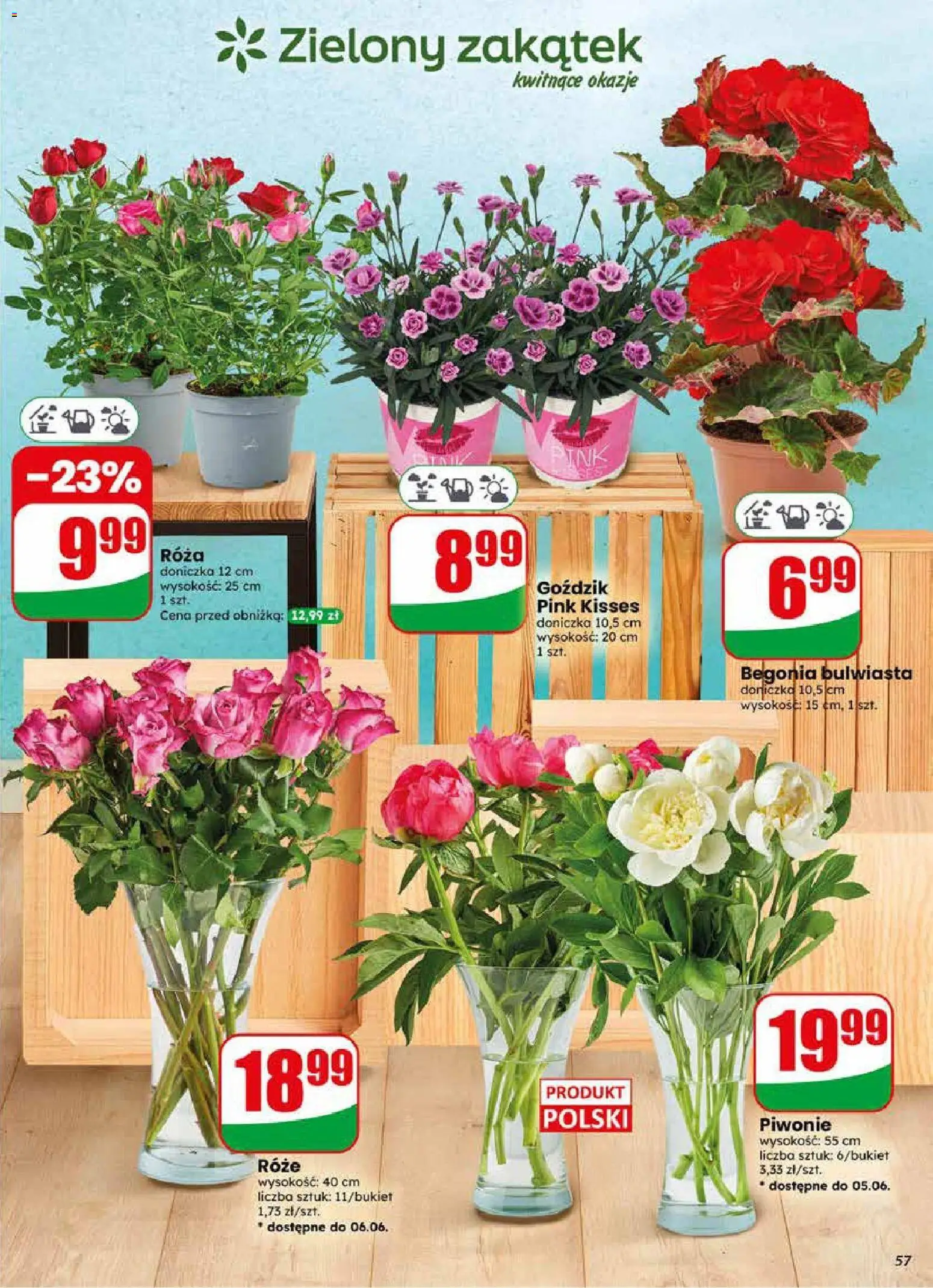 Dino gazetka od 03.06.2026 | Strona: 57
