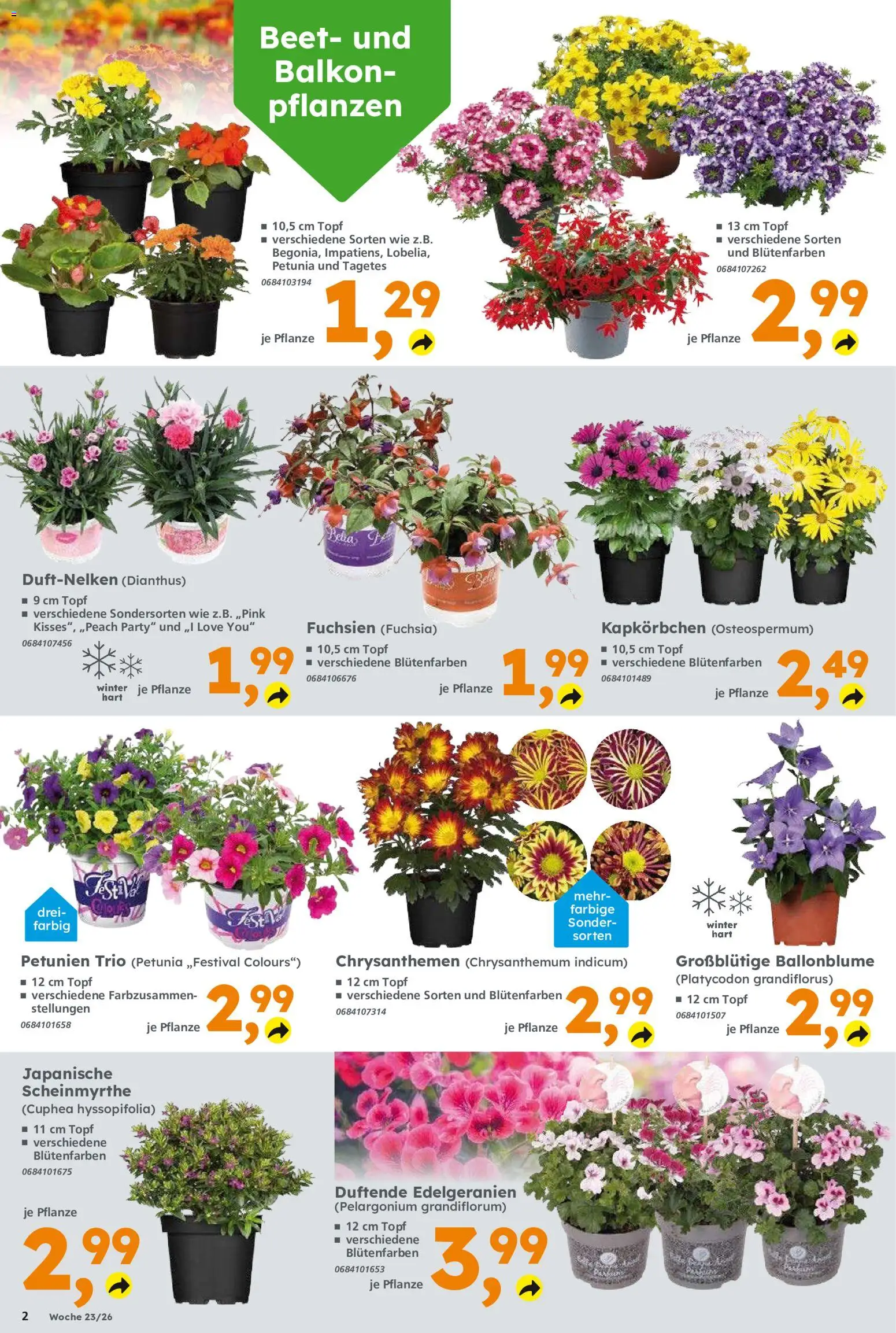 Globus Baumarkt Prospekt Weinstadt-Endersbach – gültig ab 31.05.2026 | Seite: 2