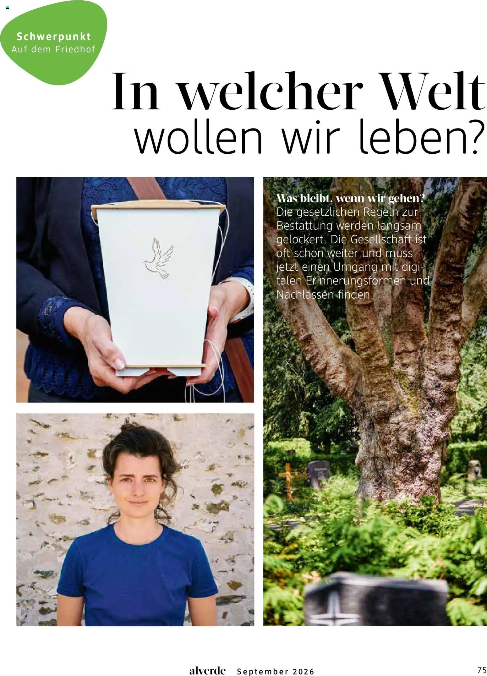 dm drogerie Prospekt – gültig ab 01.09.2026 | Seite: 75