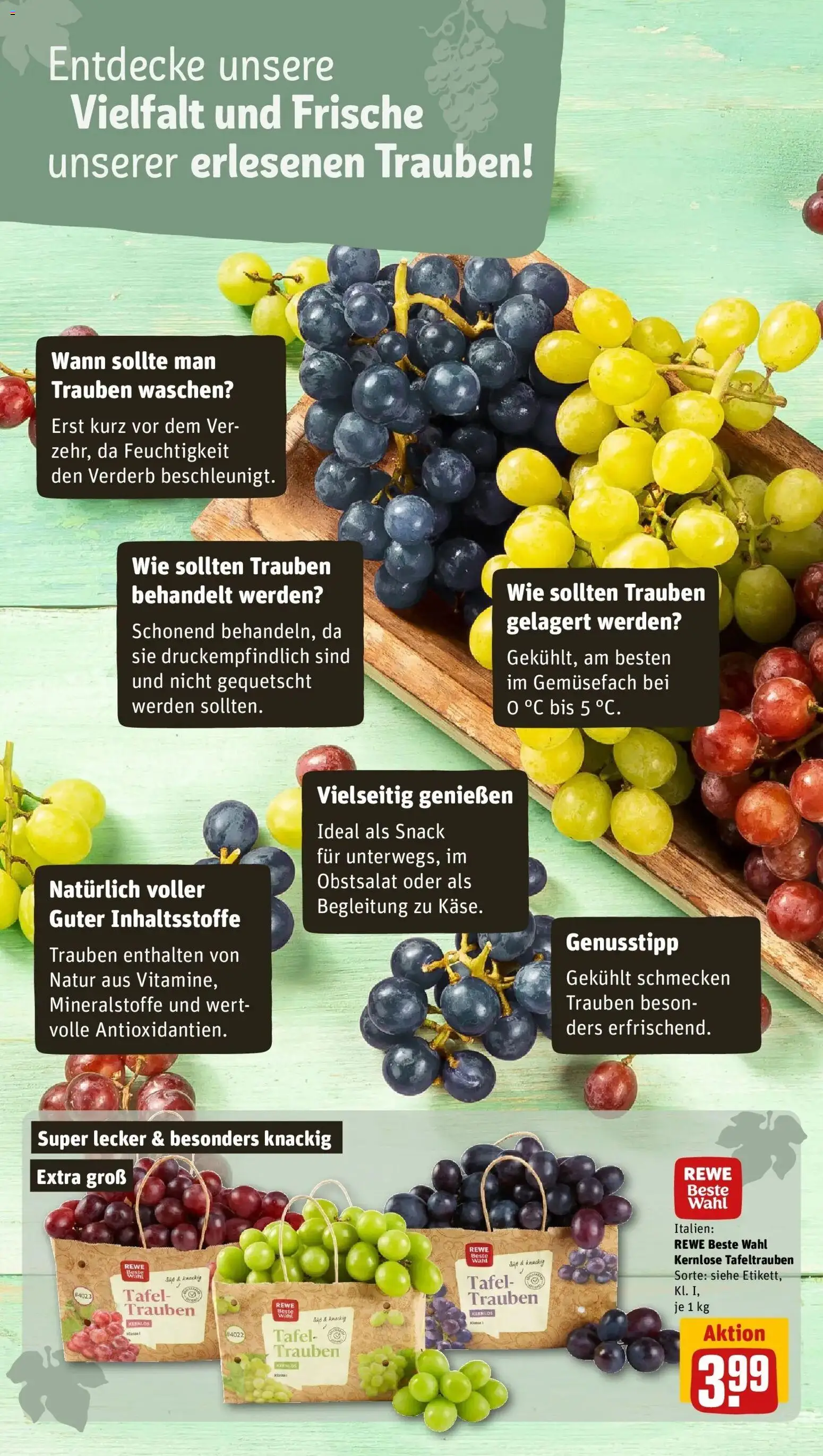 REWE Prospekt ab 14.09.2026 zum Blättern » Angebote | Seite: 20 | Produkte: Trauben
