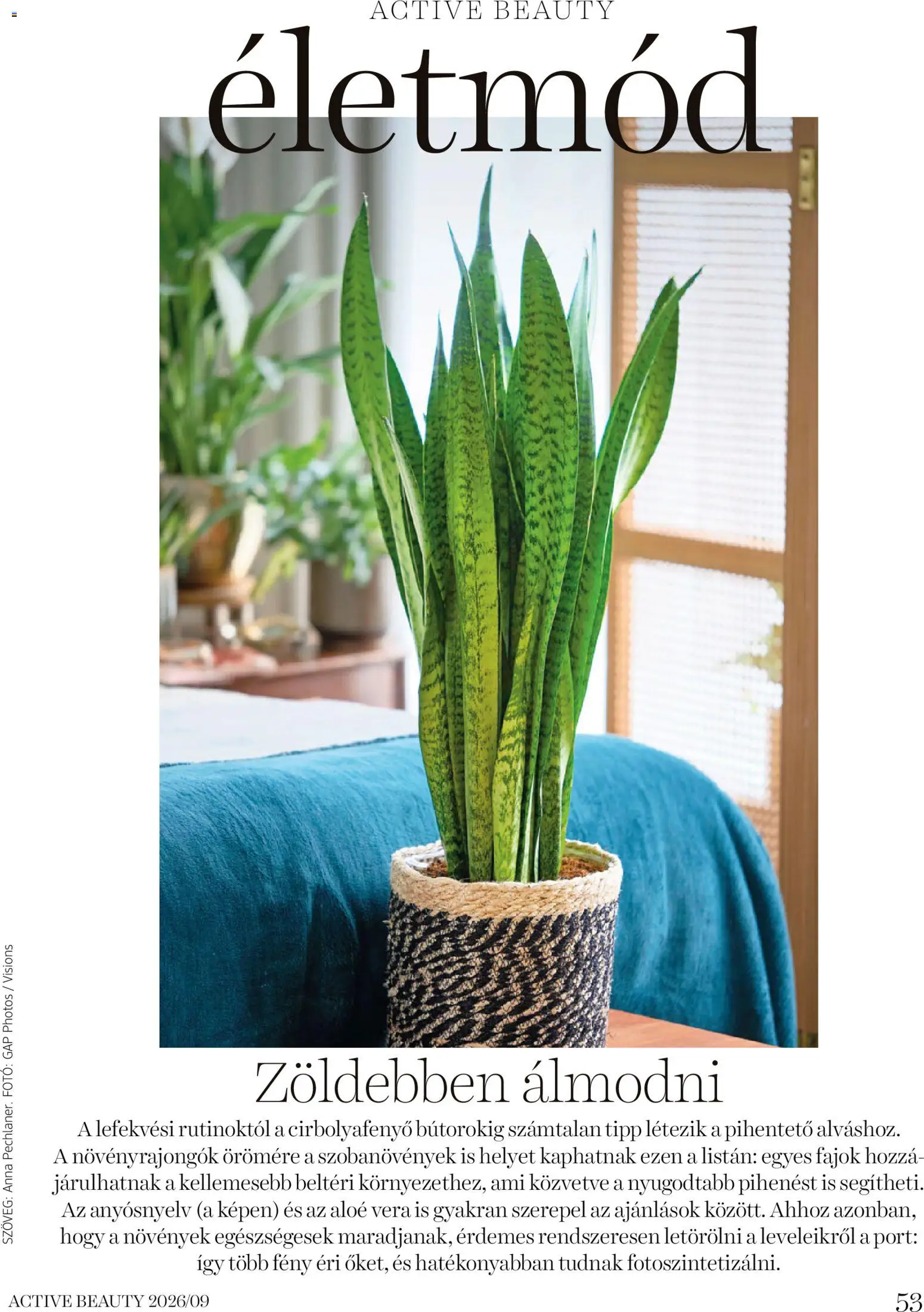 DM Drogerie Markt akciós ujság - amely érvényes a következő dátumtól: 2026.09.17. | Oldal: 53 | Termékek: Aloe vera