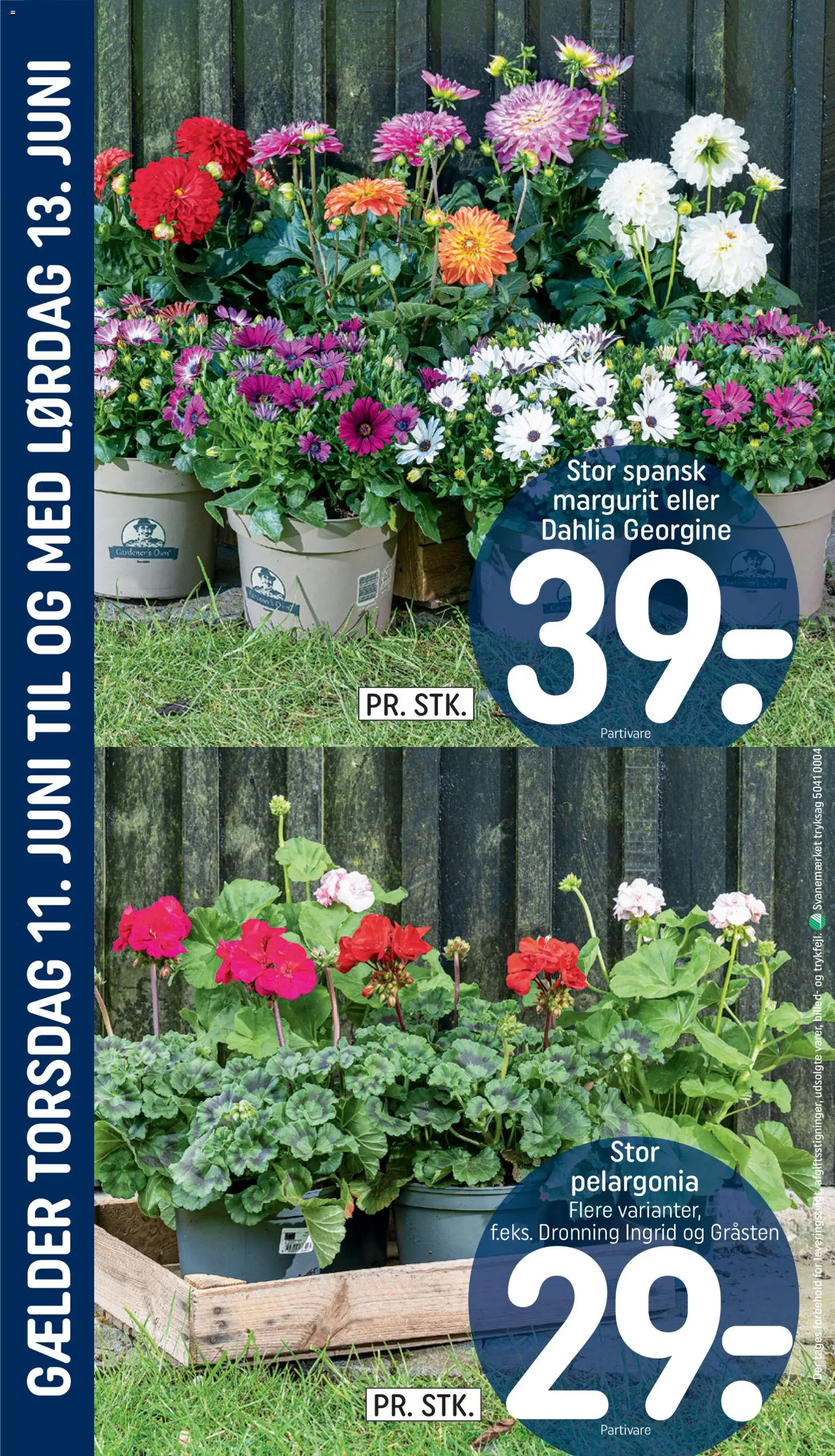 Rema 1000 tilbudsavis – gyldig fra 07.06.2026 | Side: 28