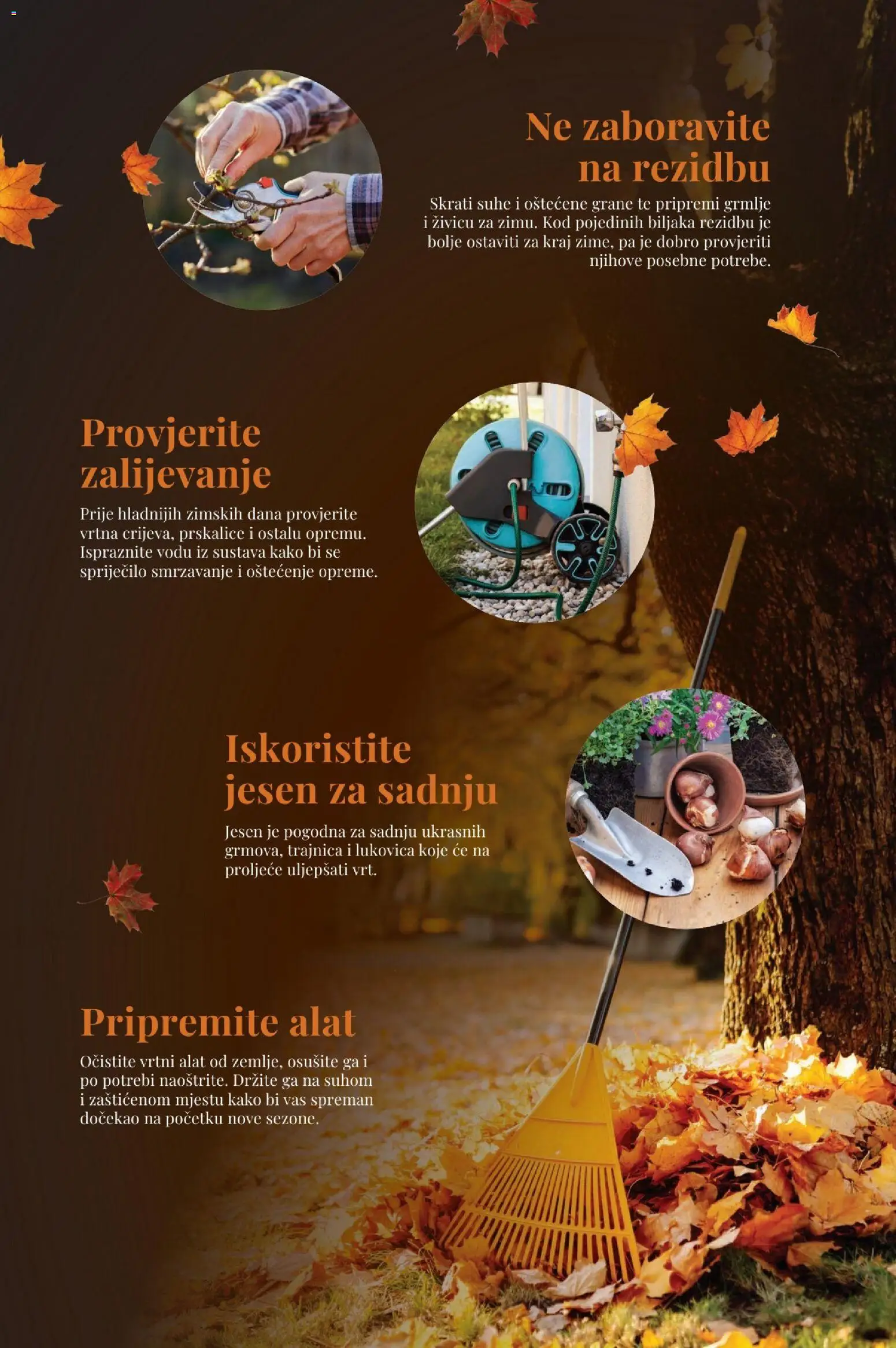 Pevex katalog | vrijedi od 29.10.2026 | Stranica: 6