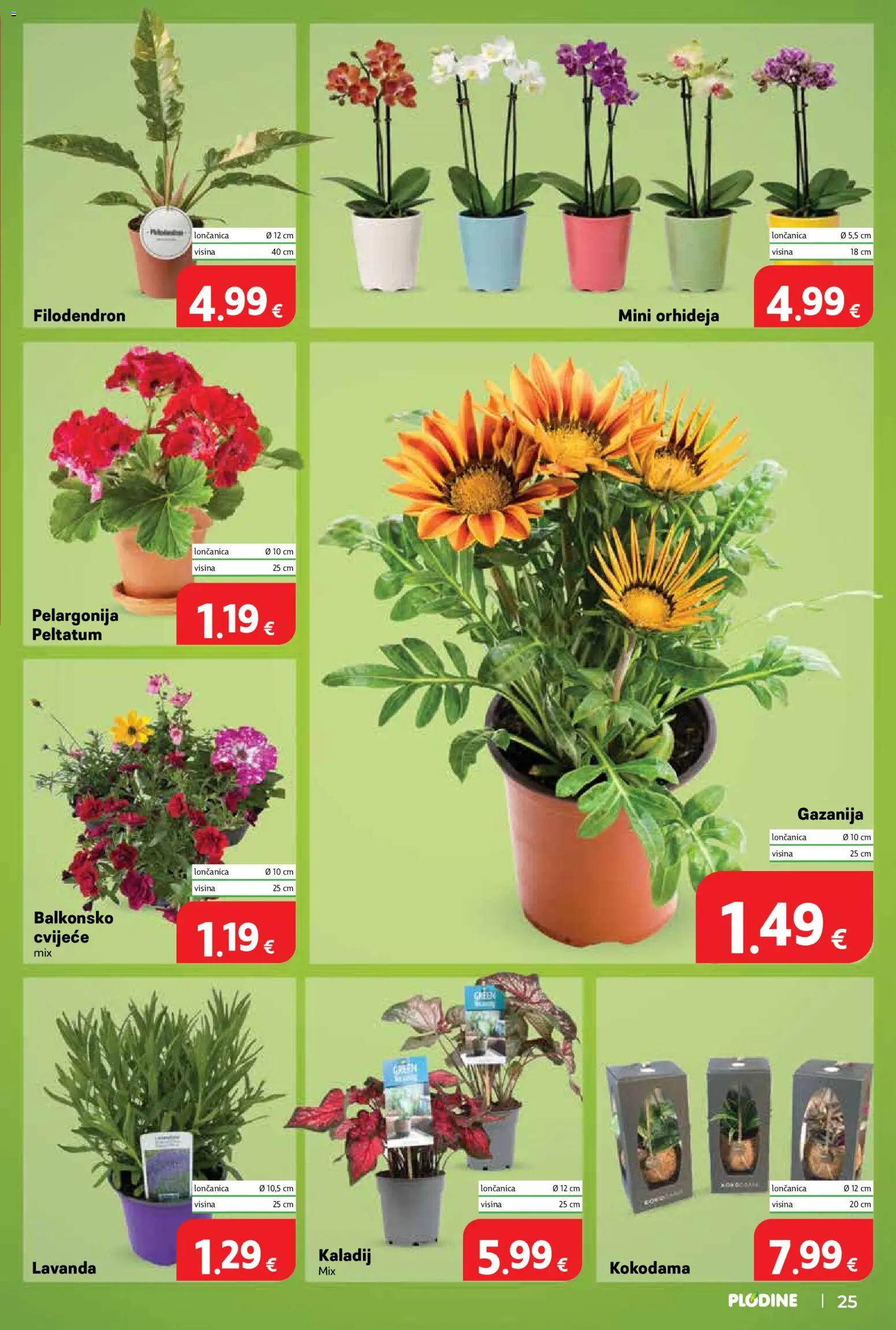 Plodine katalog | vrijedi od 03.06.2026 | Stranica: 25