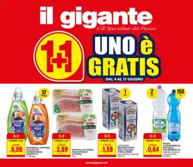 Anteprima del volantino Il Gigante volantino valido a partire dal 04.06.2026