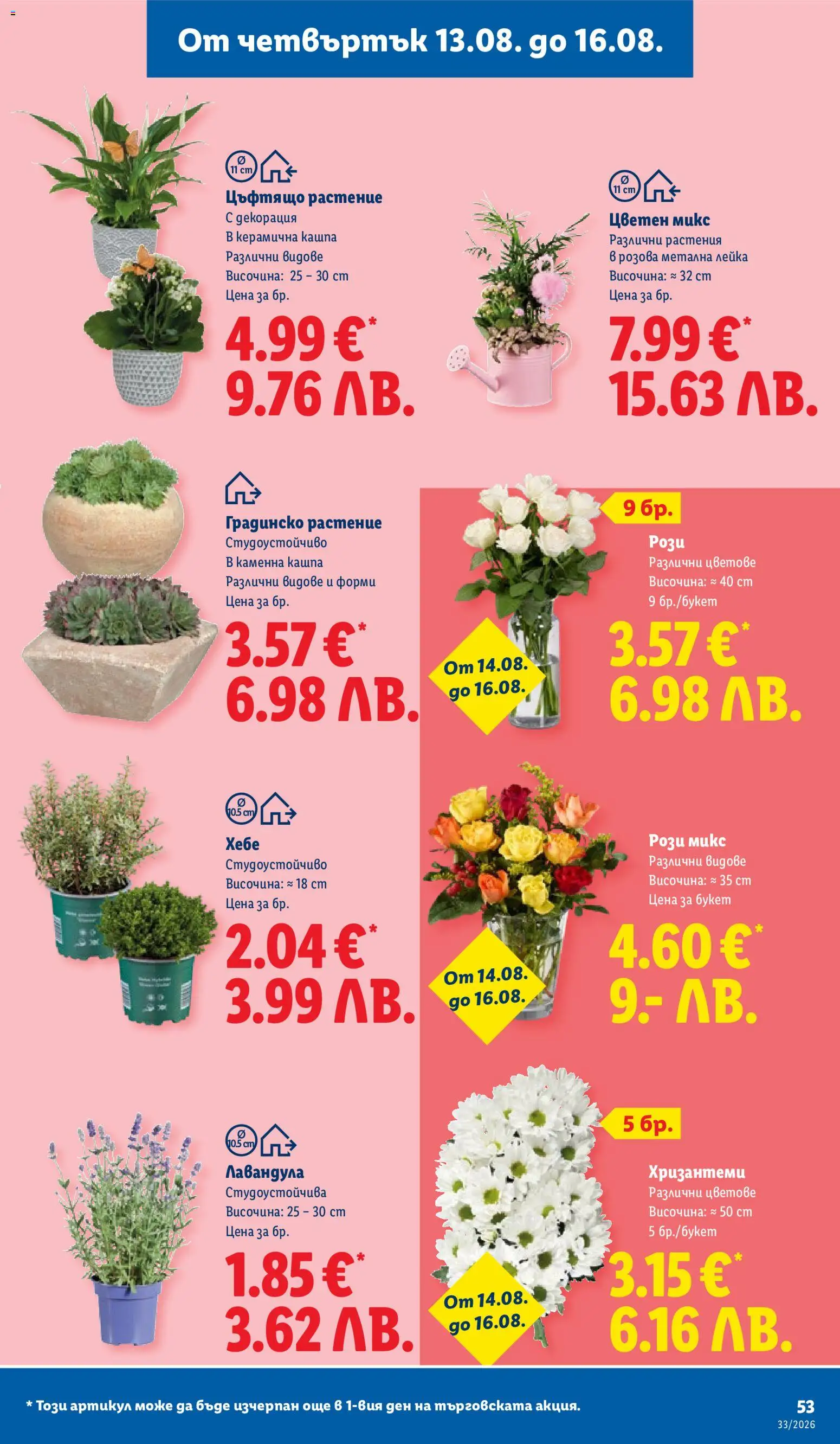 {H1} | Страница: 53 | Продукти: Кашпа, Декорация, Лейка