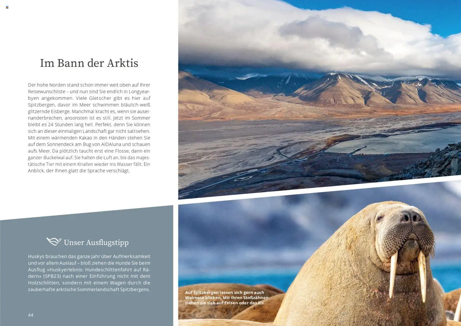 Aida AIDAselection – gültig ab 01.04.2026 | Seite: 44 | Produkte: Wasser