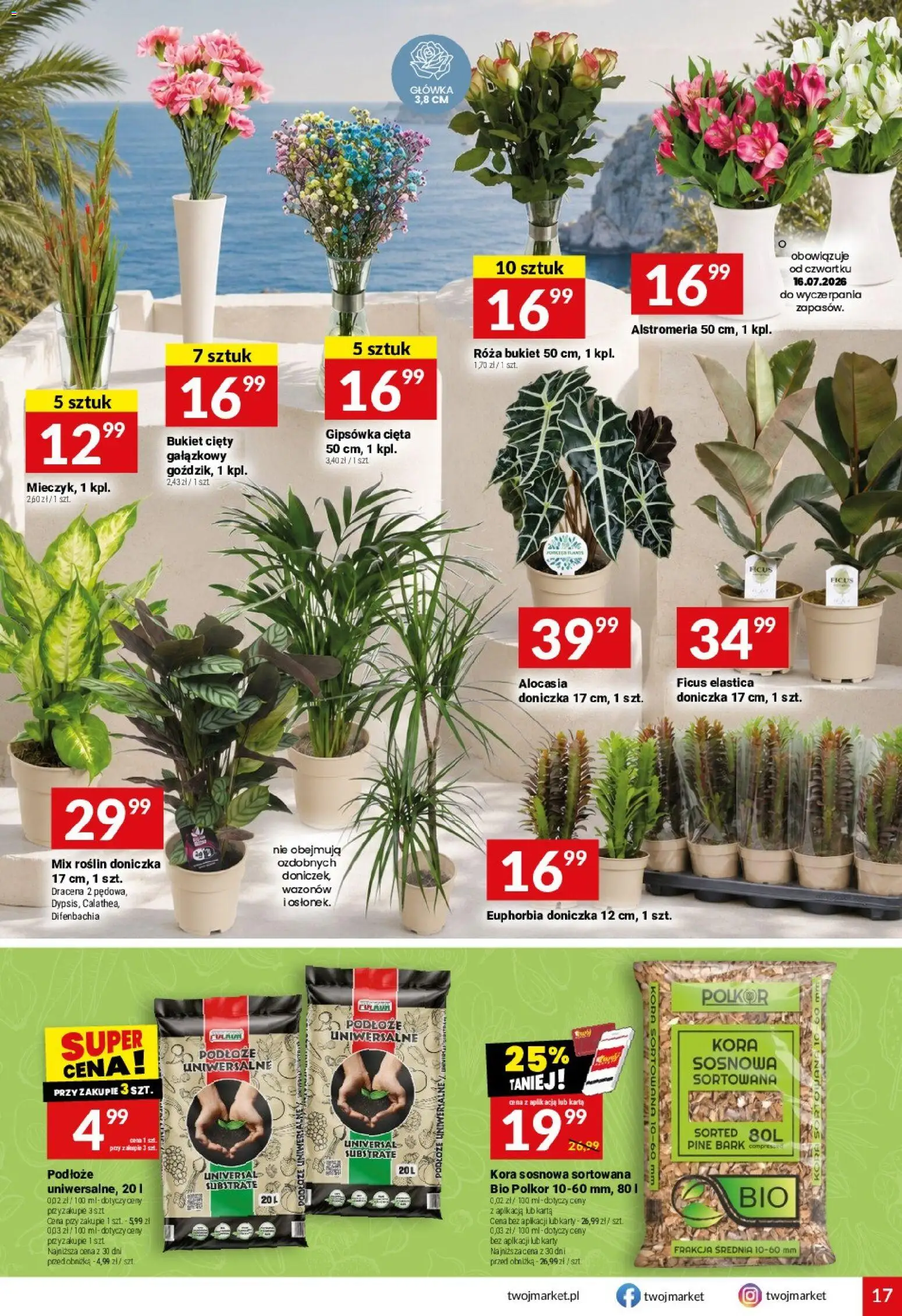 Twój Market gazetka od 15.07.2026 | Strona: 17 | Produkty: Karta, Doniczka