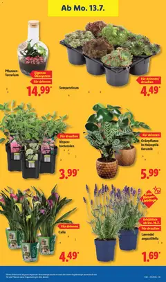 Lidl Prospekt ab 13.07.2026 gültig | Seite: 27 | Produkte: Schmutzfangmatte, Smartphones