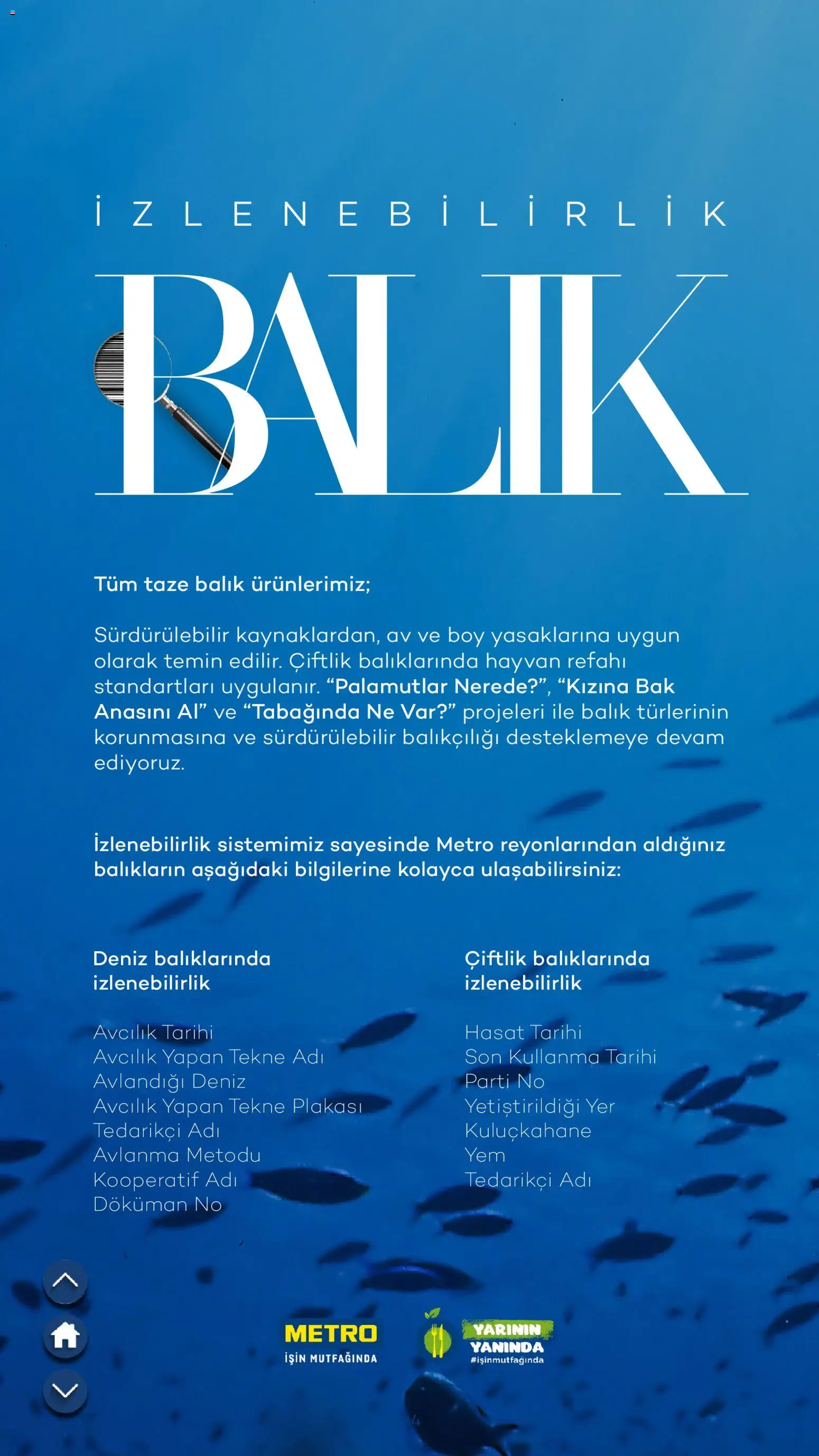 Metro Sürdürülebilir Ürünler Kataloğu - 14 Ekim 2026 tarihinden itibaren geçerlidir | Sayfa: 24 | Ürünler: Balık