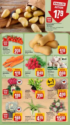 Rewe Prospekt Petershagen ab 05.10.2026 gültig | Seite: 9 | Produkte: Knoblauch, Kürbis