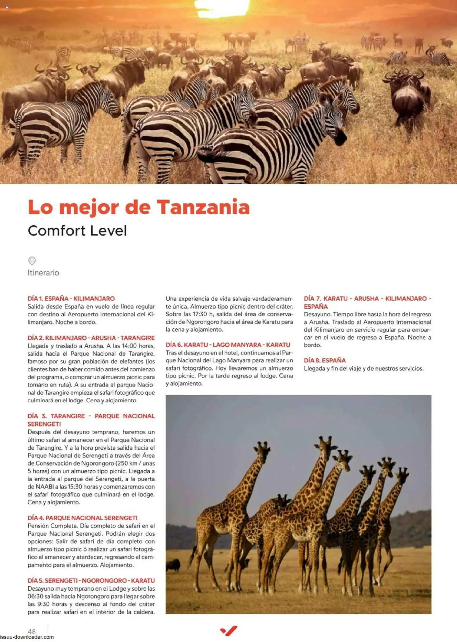 Halcón Viajes Comfort level 2026 │ válido desde el 04.06.2026 | Página: 48 | Productos: Té