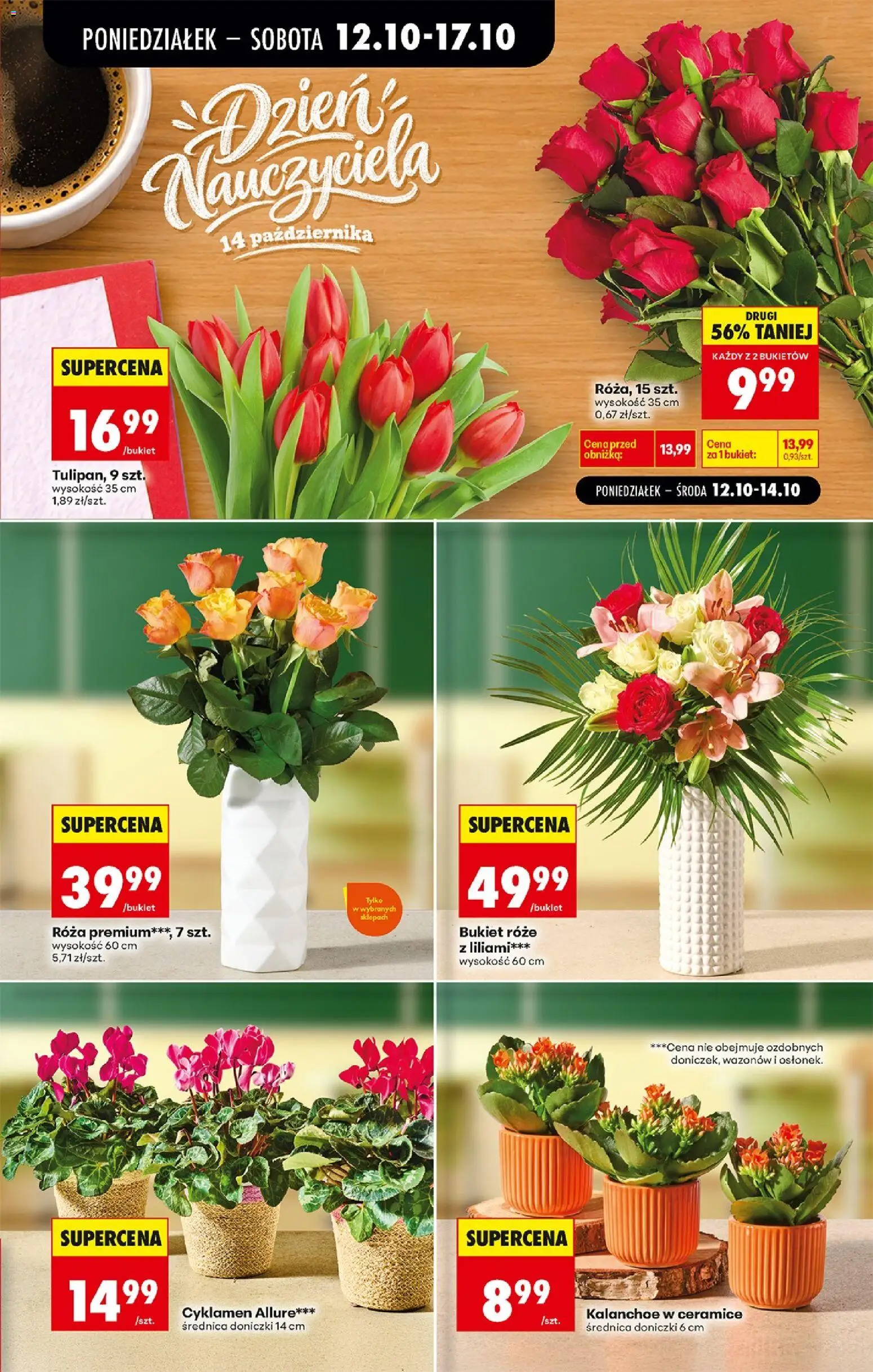 Biedronka Polsko leták - Codziennie niskie ceny od 12.10.2026 | Strana: 11 | Produkty: Kalanchoe