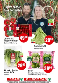 Forhåndsvisning av Norsk hjerte-salat 2-pk., Two packs of Norwegian heart lettuce. gyldig fra 01.06.2026 | Side: 3