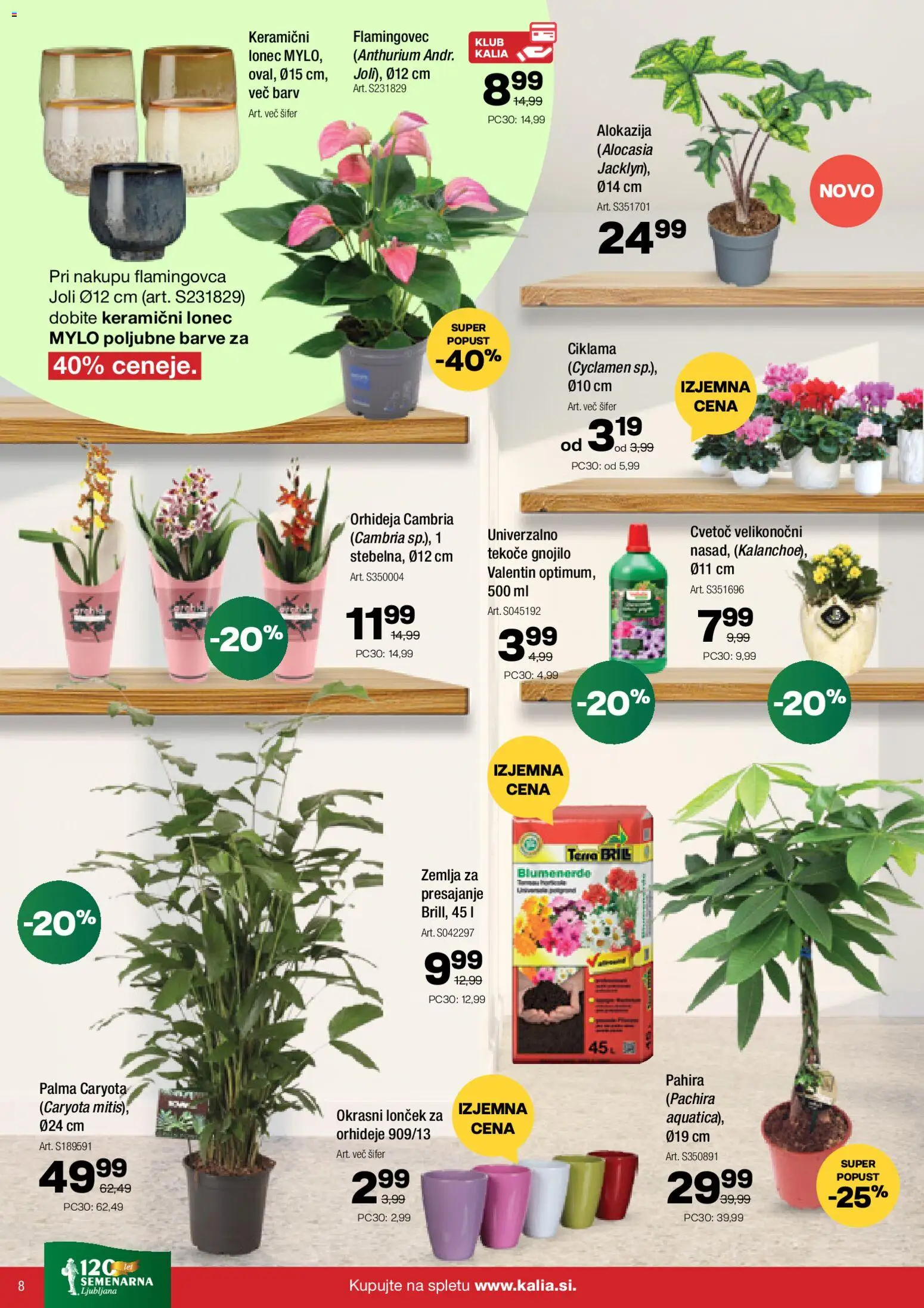 Novi Kalia katalog ponudbe – veljaven od 23.03.2026 | Stran: 8 | Izdelki: Žemlja, Okrasni loncek