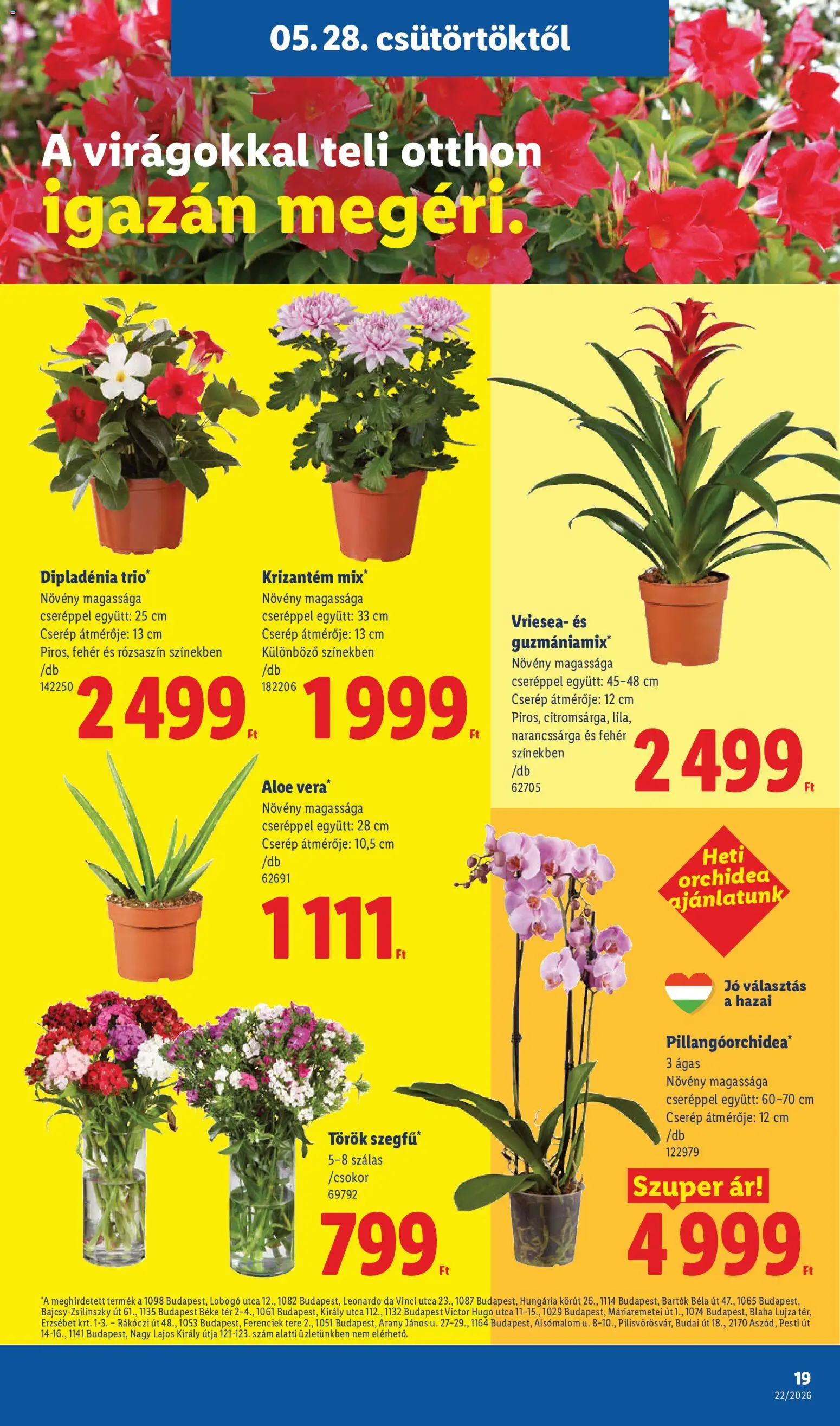 Lidl akciós ujság - amely érvényes a következő dátumtól: 28.05.2026 | Oldal: 19