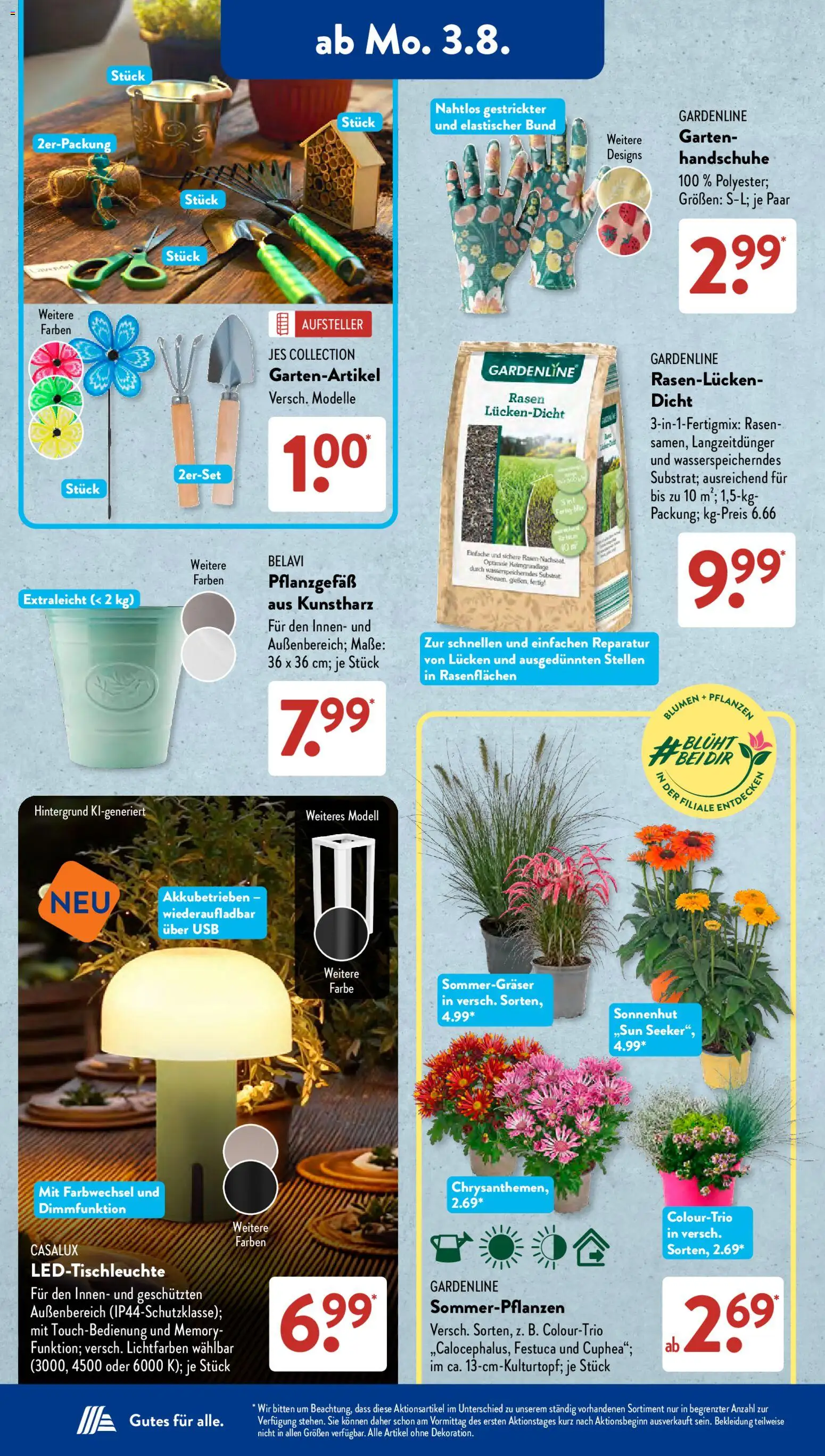 Aldi Süd Prospekt – gültig ab 03.08.2026 | Seite: 4 | Produkte: USB, Belavi, Blumen, Handschuhe
