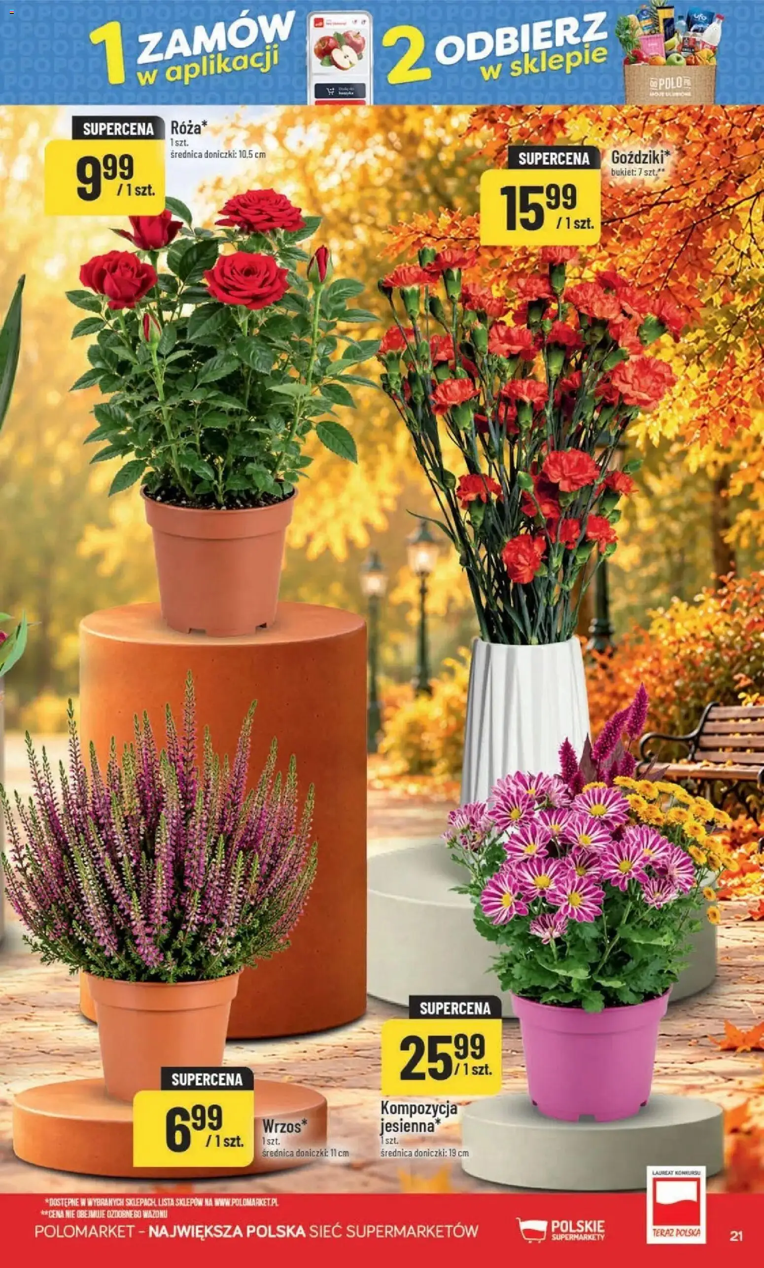 Nowa POLOmarket gazetka od jutra 30.09.2026 | Strona: 21 | Produkty: Doniczki