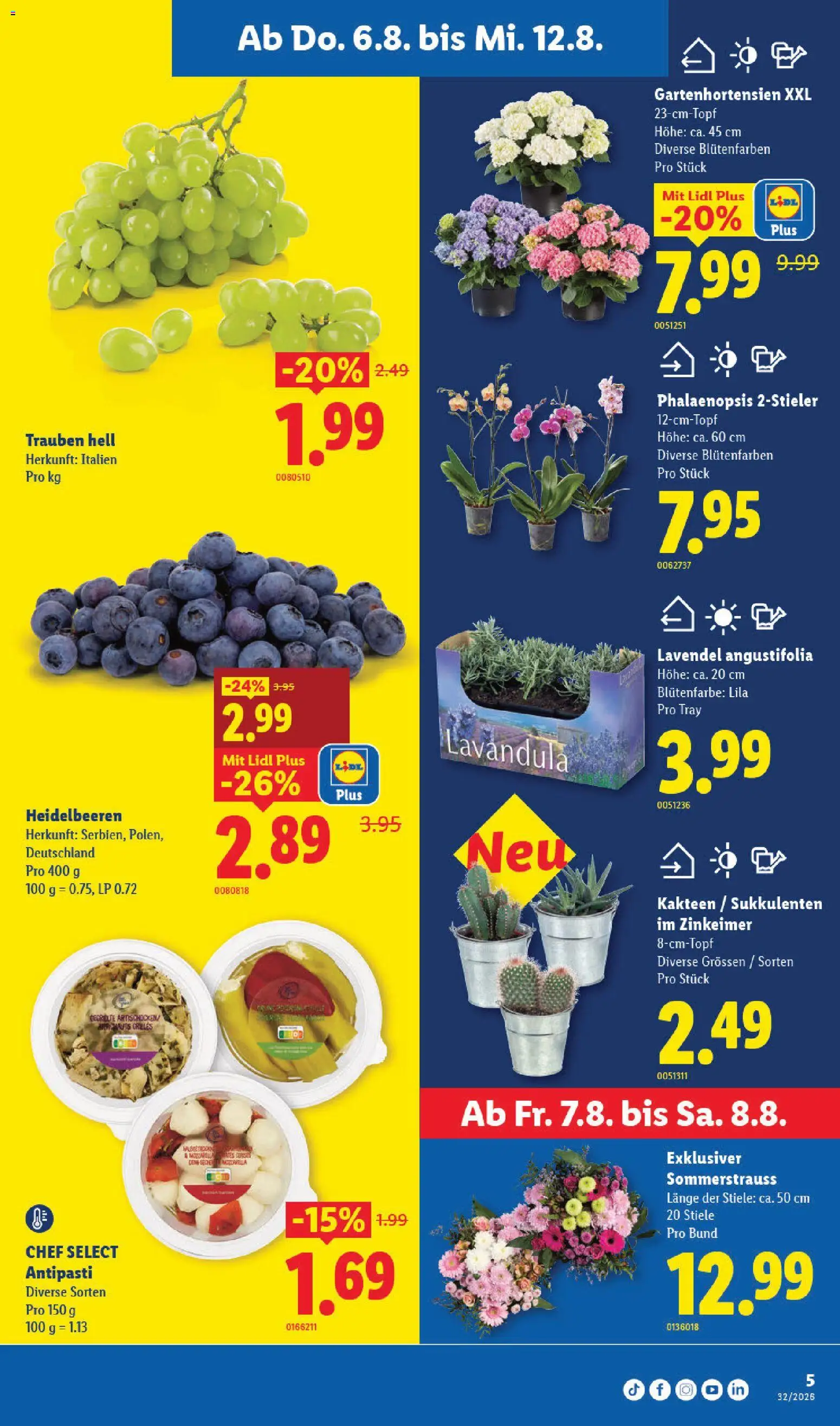 Lidl aktionen – gültig ab 06.08.2026 | Seite: 5