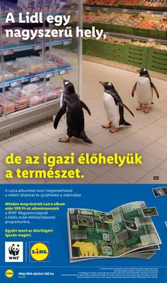 Lidl akciós újság - amely érvényes a következő dátumtól: 2026.09.10. | Oldal: 28
