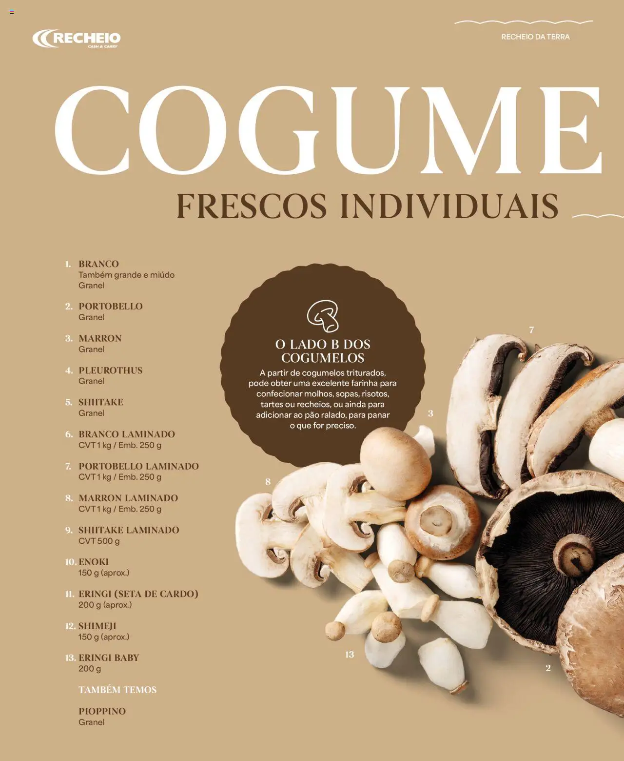 Recheio - Recheio da Terra │ válido de 25/09/2025 | Página: 36 | Produtos: Pão, Cogumelos, Farinha