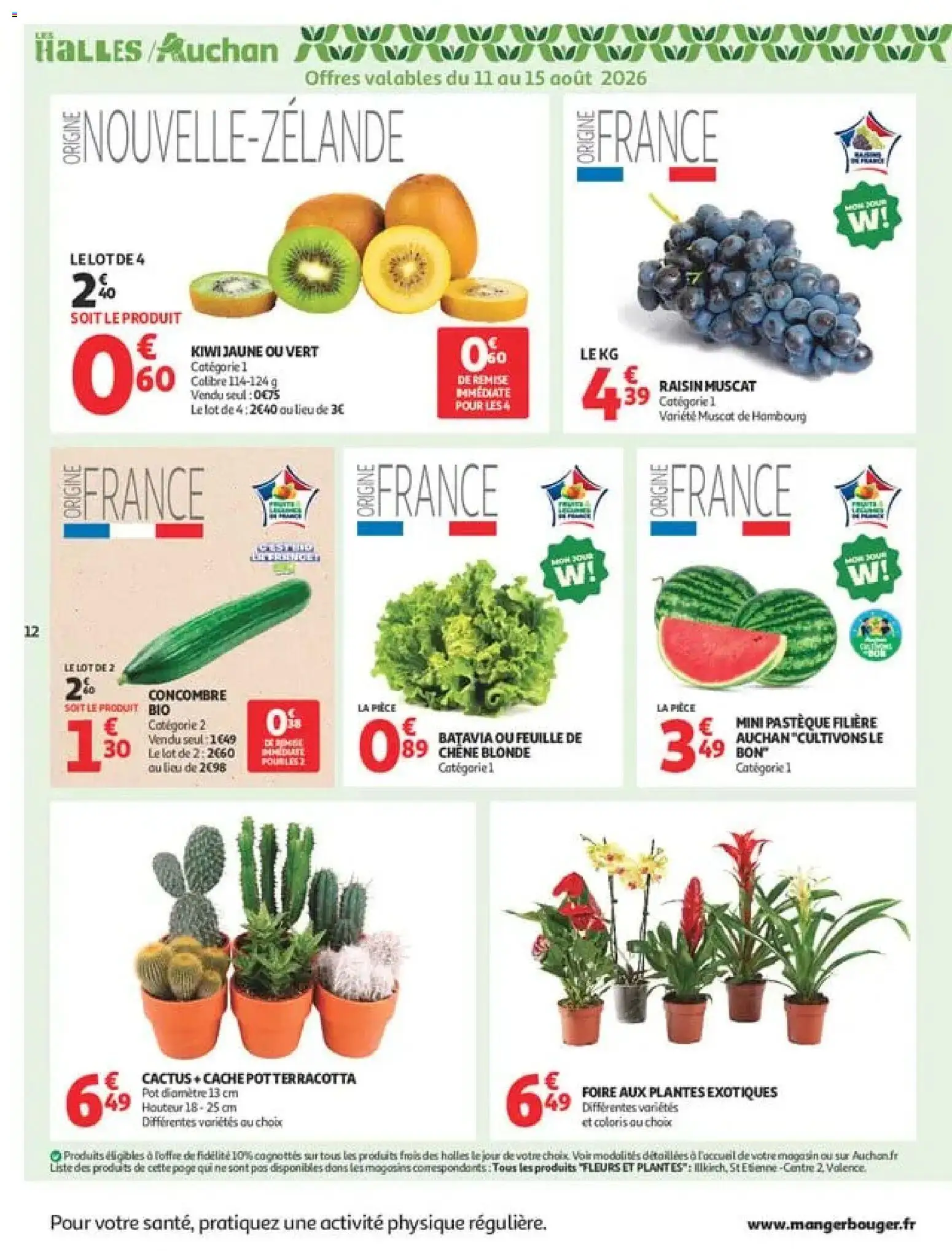 {H1} | Page: 12 | Produits: Concombre, Pastèque, Fleurs et plantes, Kiwi