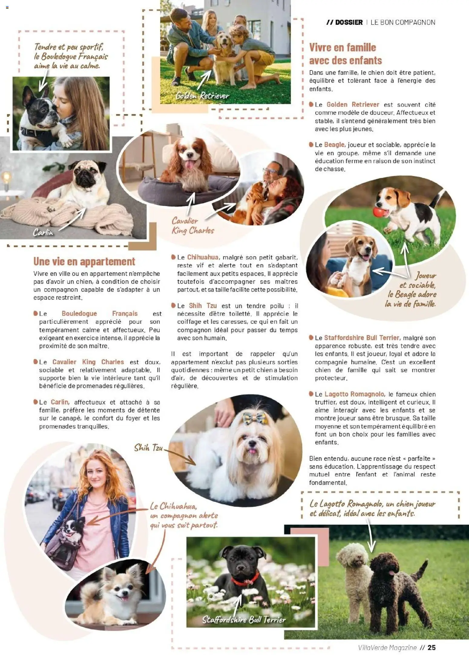 {H1} | Page: 25 | Produits: Montre, Joueur, Magazine