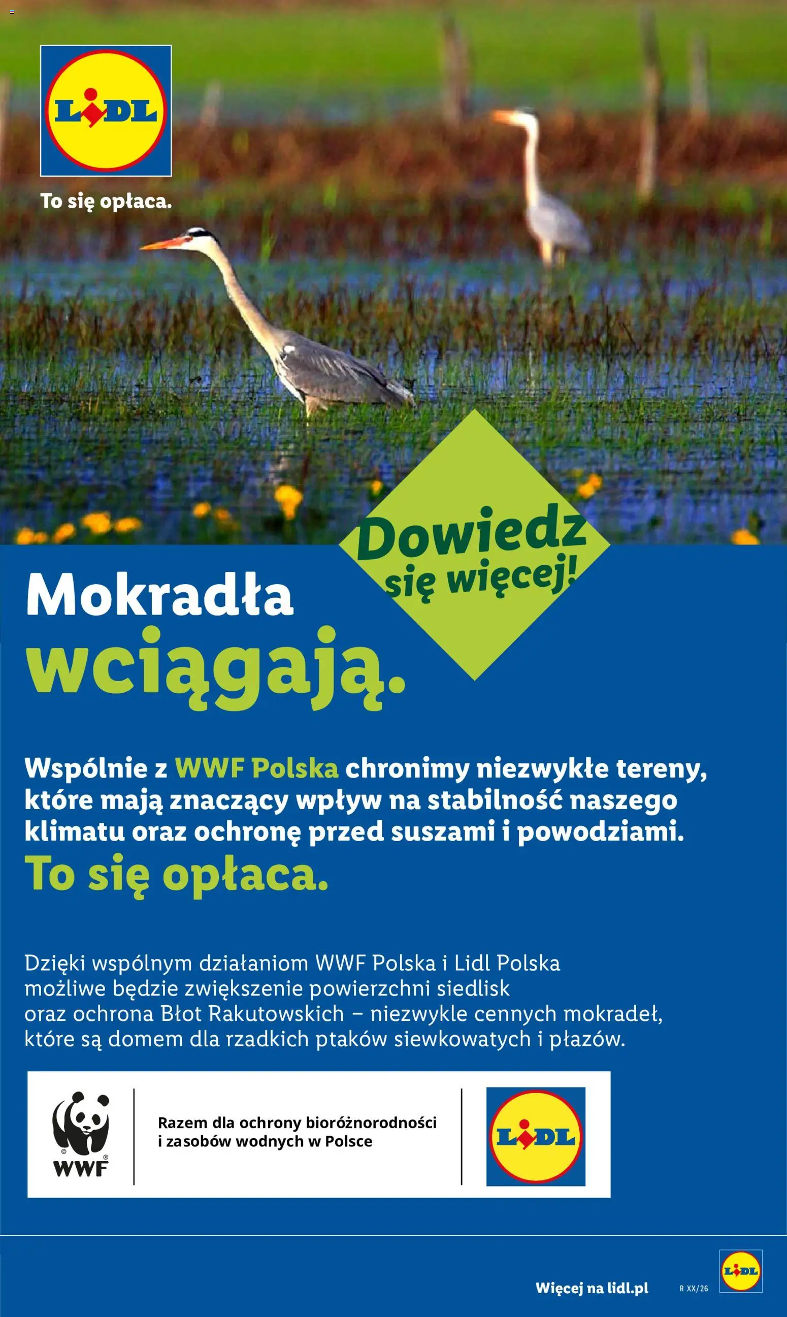 Lidl Polsko leták od 16.07.2026 | Strana: 96