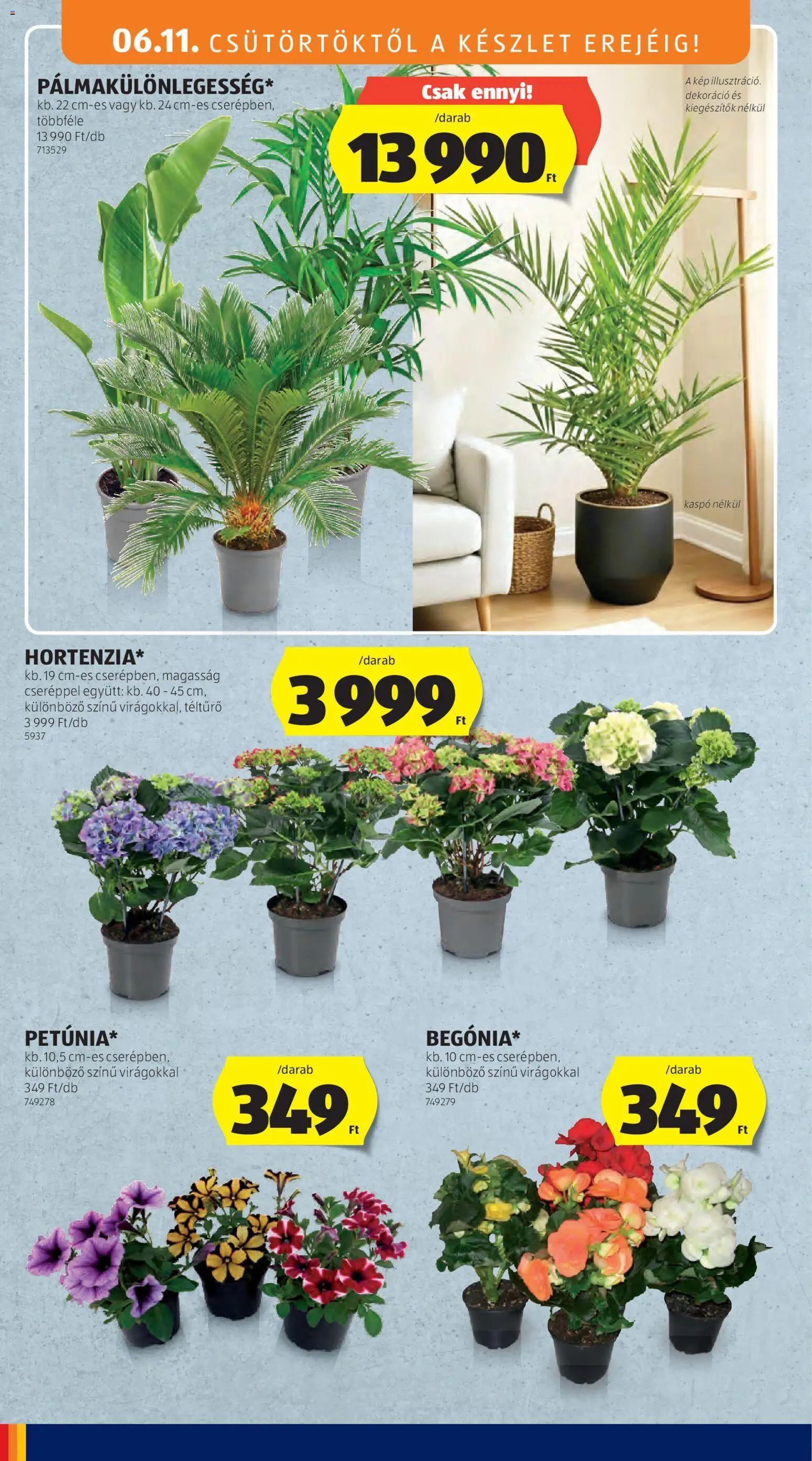 Aldi akciós ujság - amely érvényes a következő dátumtól: 11.06.2026 | Oldal: 34 | Termékek: Kaspó, Dekoráció