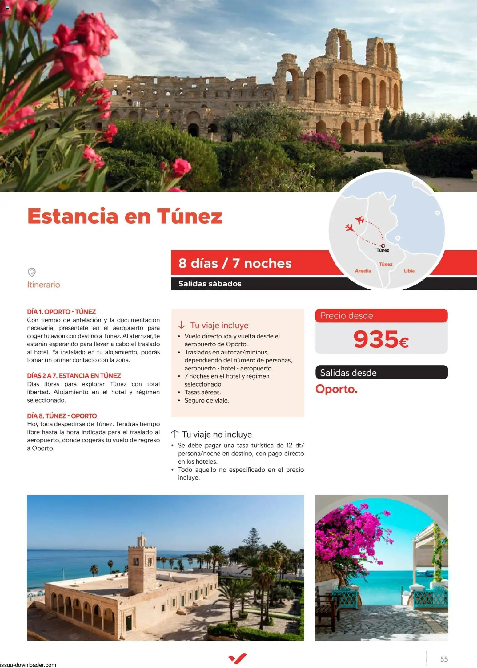 Halcón Viajes Túnez │ válido desde el 08/07/2026 | Página: 55 | Productos: Té