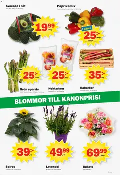 Pekås erbjudanden - Förhandsvisning av reklamblad från butik Pekås aktuell från 18.05.2026 | Sida: 11 | Produkter: Avocado, Lavendel, Kruka, Sparris