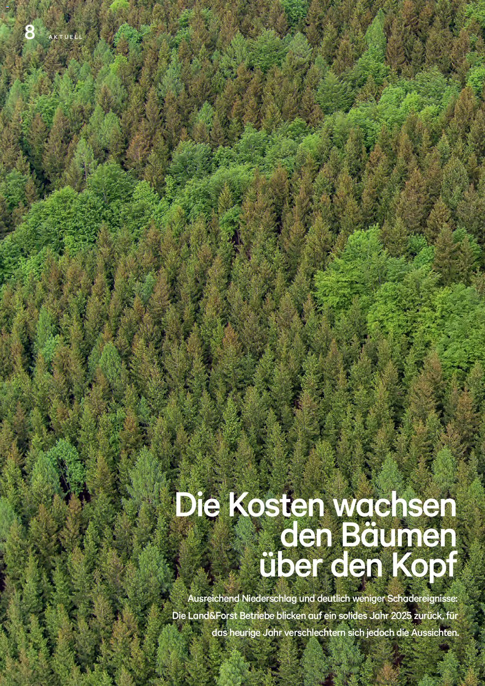 Lagerhaus Unser Land Juni 2026 gültig ab 01.06.2026 | Seite: 8