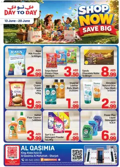 Preview of Day to Day catalogue save big valid from 13.06.2026