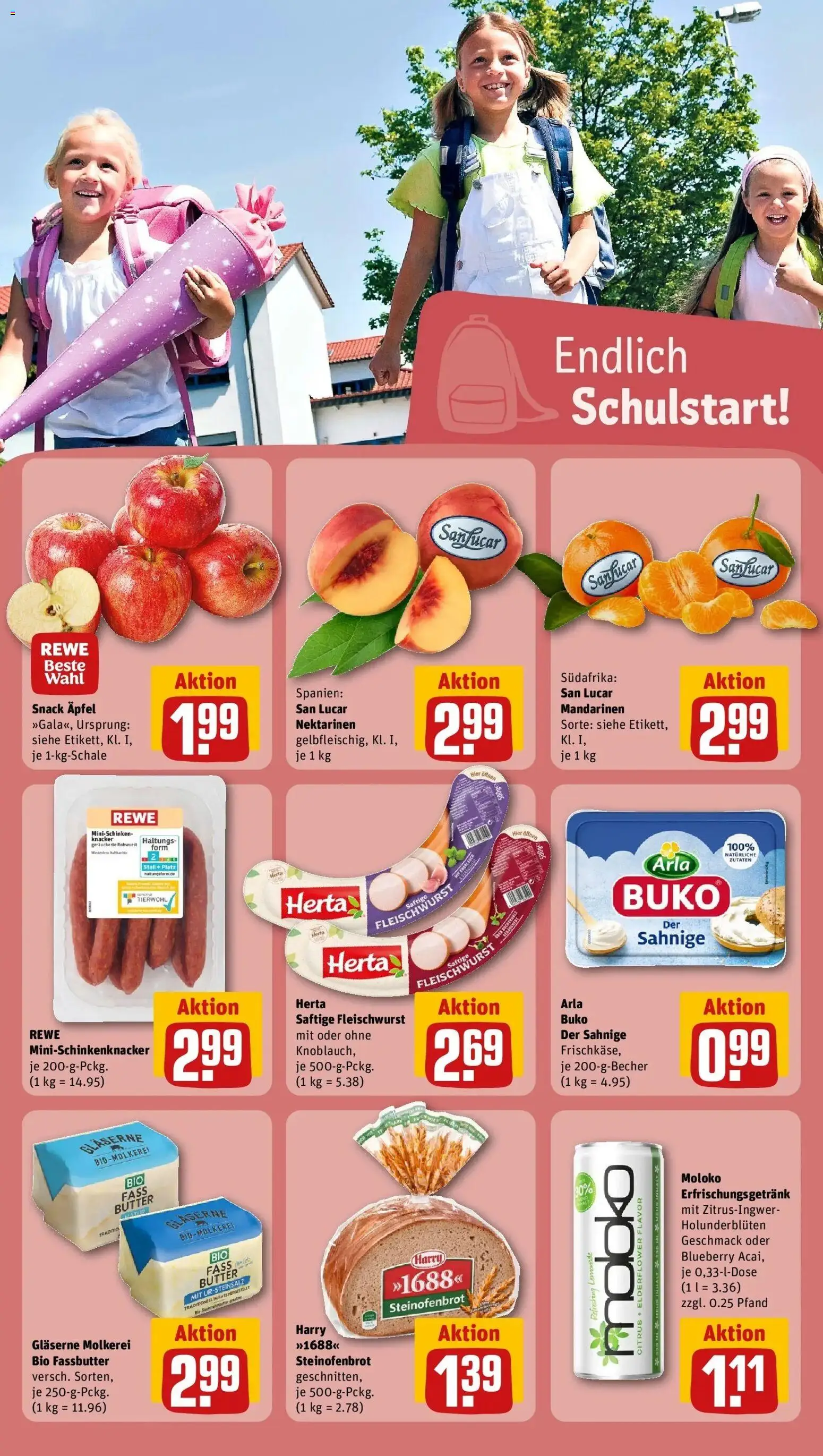 REWE Prospekt ab 24.08.2026 zum Blättern » Angebote | Seite: 16 | Produkte: Butter, Nektarinen, Äpfel, Mandarinen