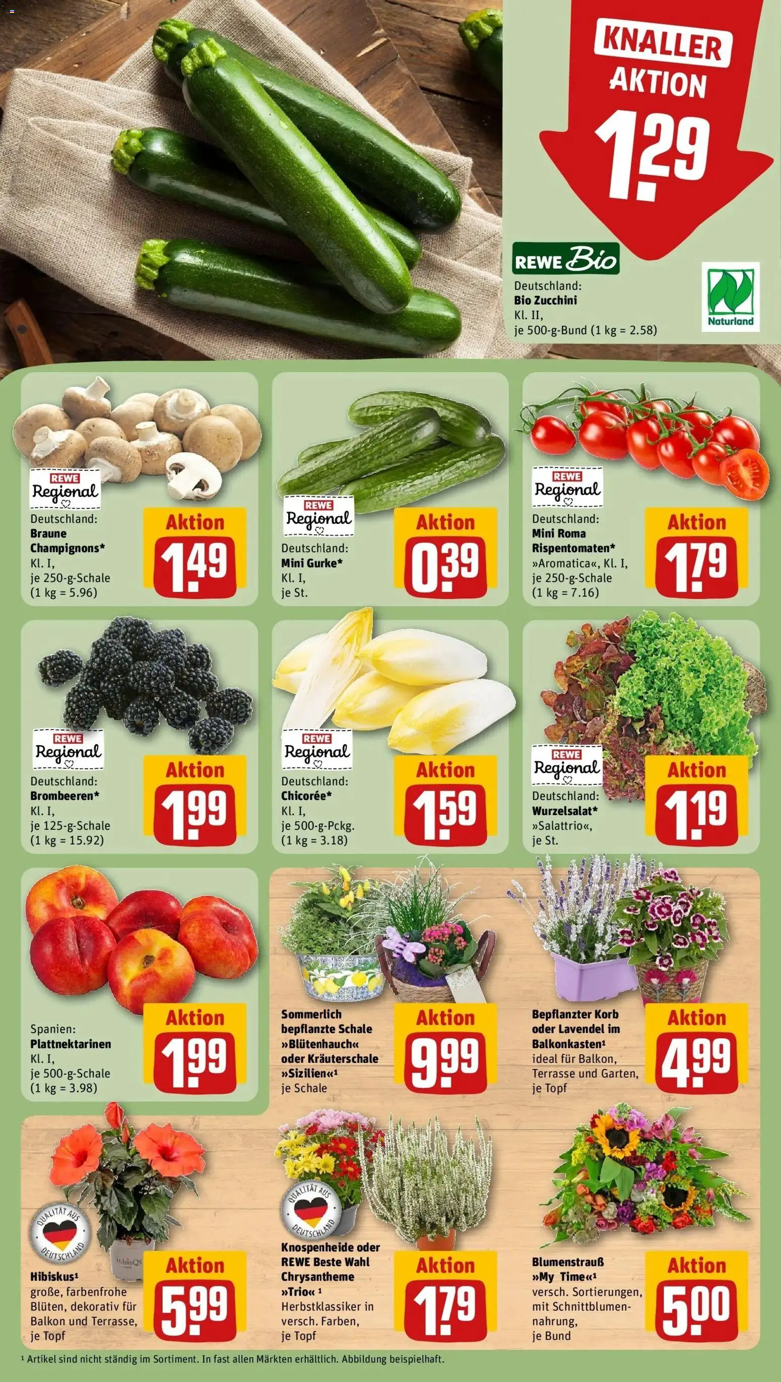 REWE Prospekt ab 17.08.2026 zum Blättern » Angebote | Seite: 9 | Produkte: Korb, Zucchini, Lavendel