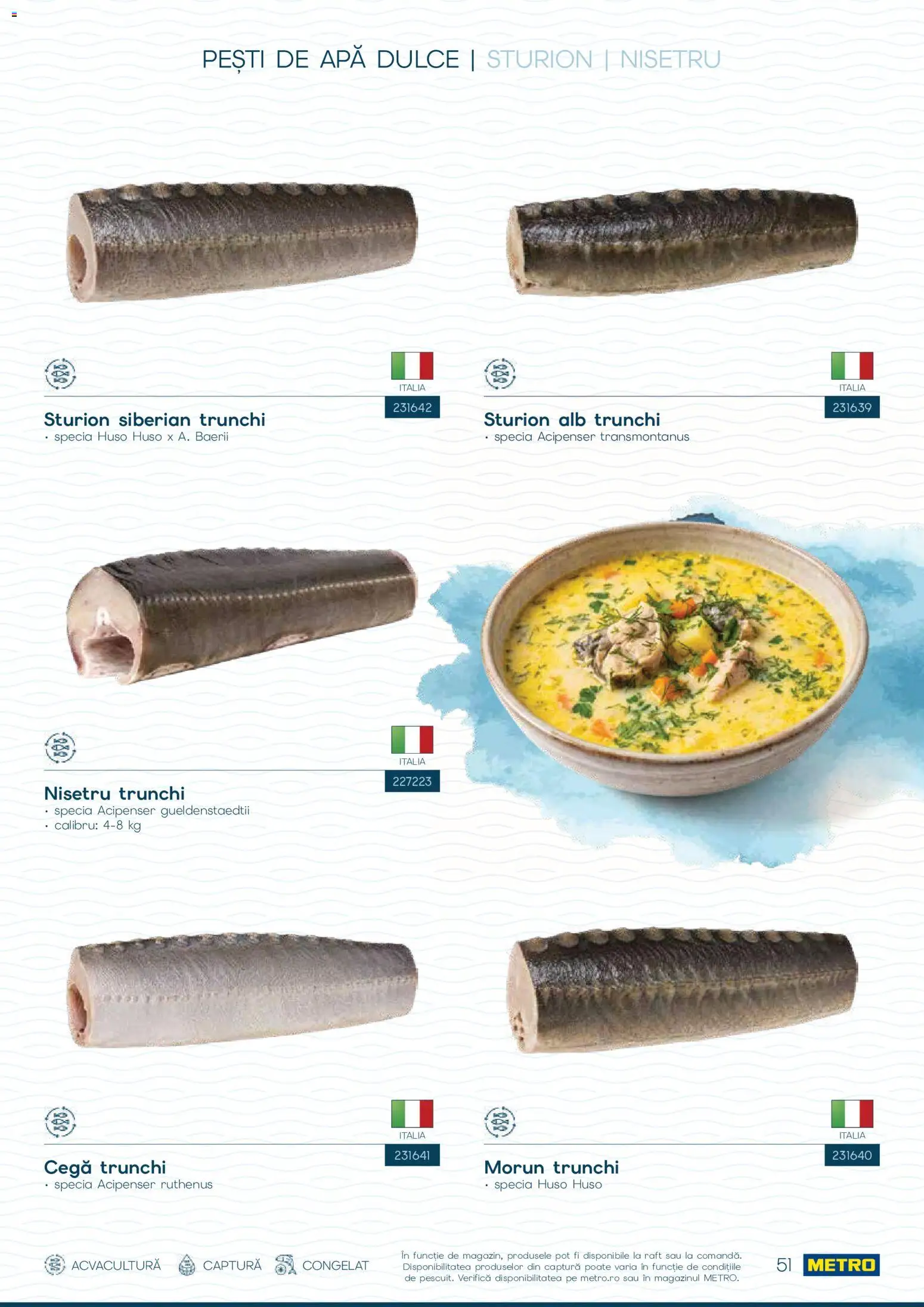 Noul catalog Metro – valabil de la 01.10.2026 | Pagină: 51 | Produse: Raft, Trunchi, Apă