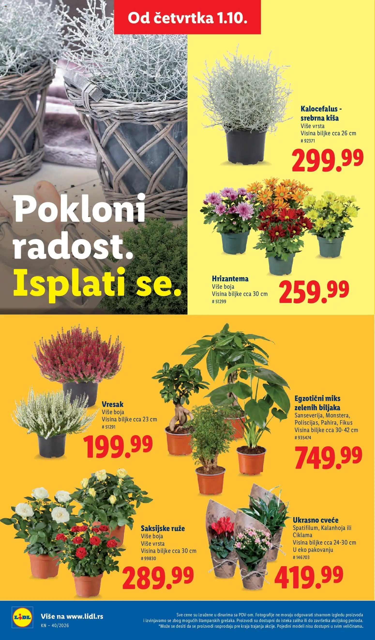 Lidl katalog - važi od 01.10.2026 | Strana: 68