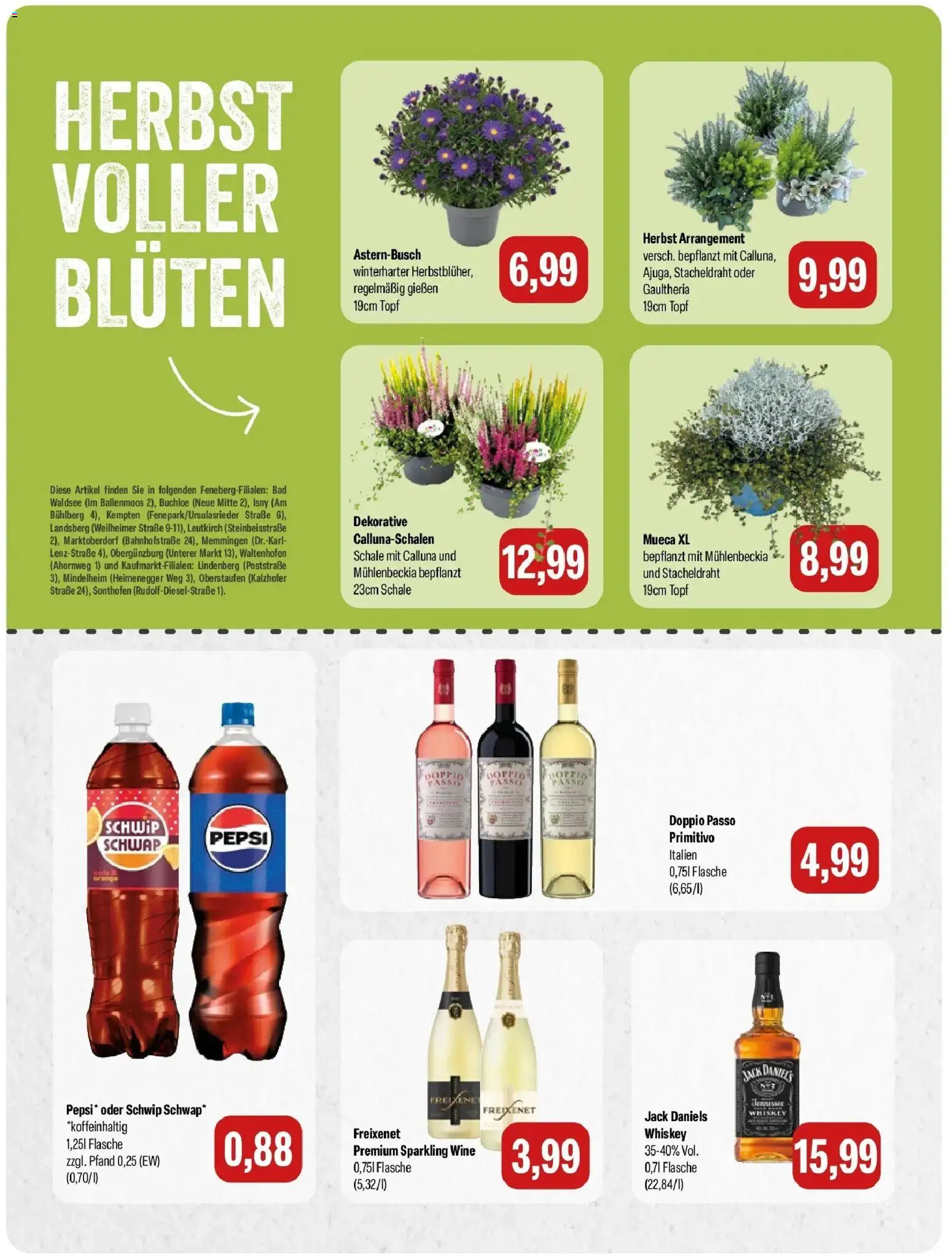 Feneberg Aktuelle Angebote (ab 17.09.2026) zum Blättern | Seite: 6 | Produkte: Freixenet, Bad, Pepsi, Whiskey