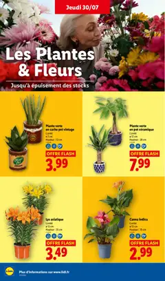LIDL - Prévisualisation de LIDL catalogue valide à partir de 30/07/2026 | Page: 28