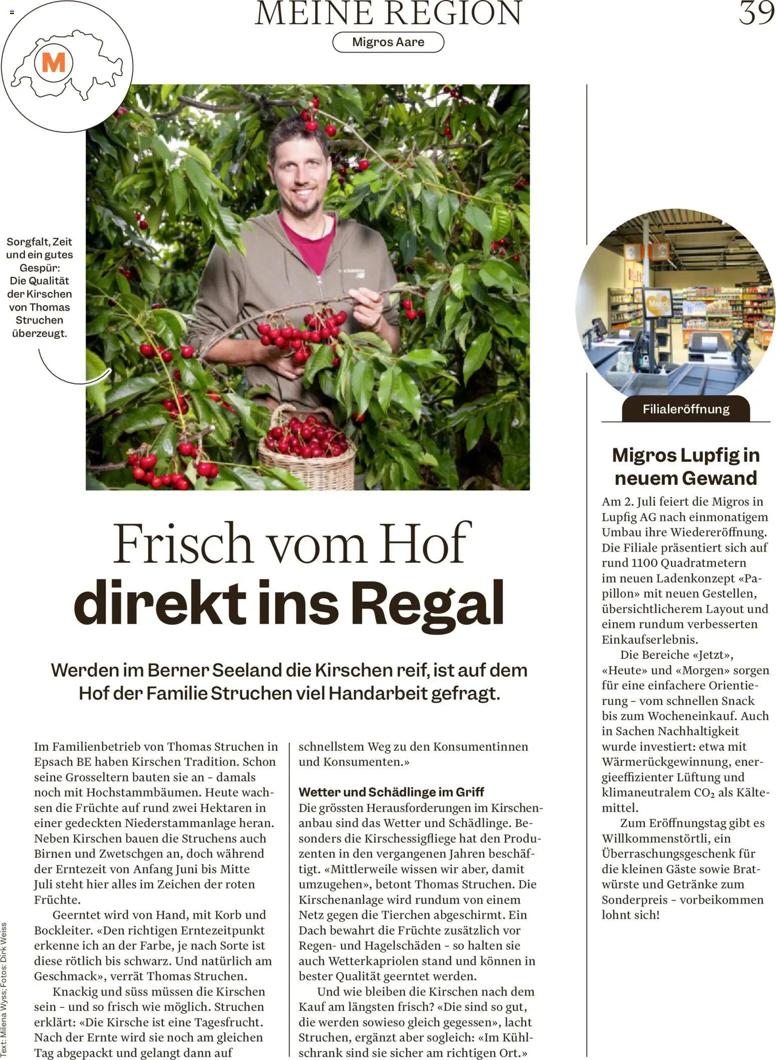 Migros aktionen Magazin – gültig ab 01.07.2026 | Seite: 39 | Produkte: Regal, Zwetschgen, Kirschen, Früchte