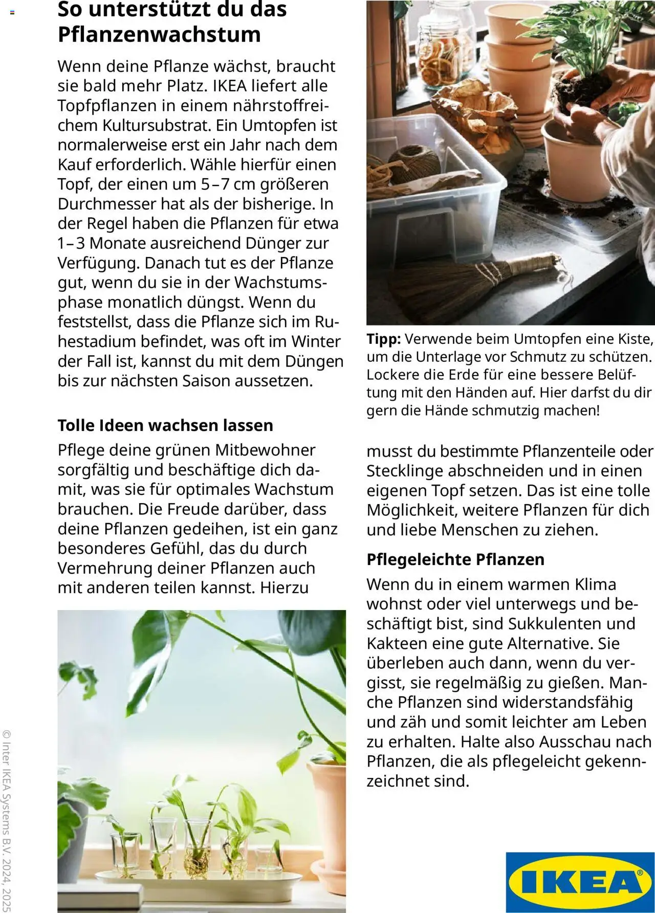 Ikea Pflanzen Broschüre – gültig ab 30.09.2025 | Seite: 8