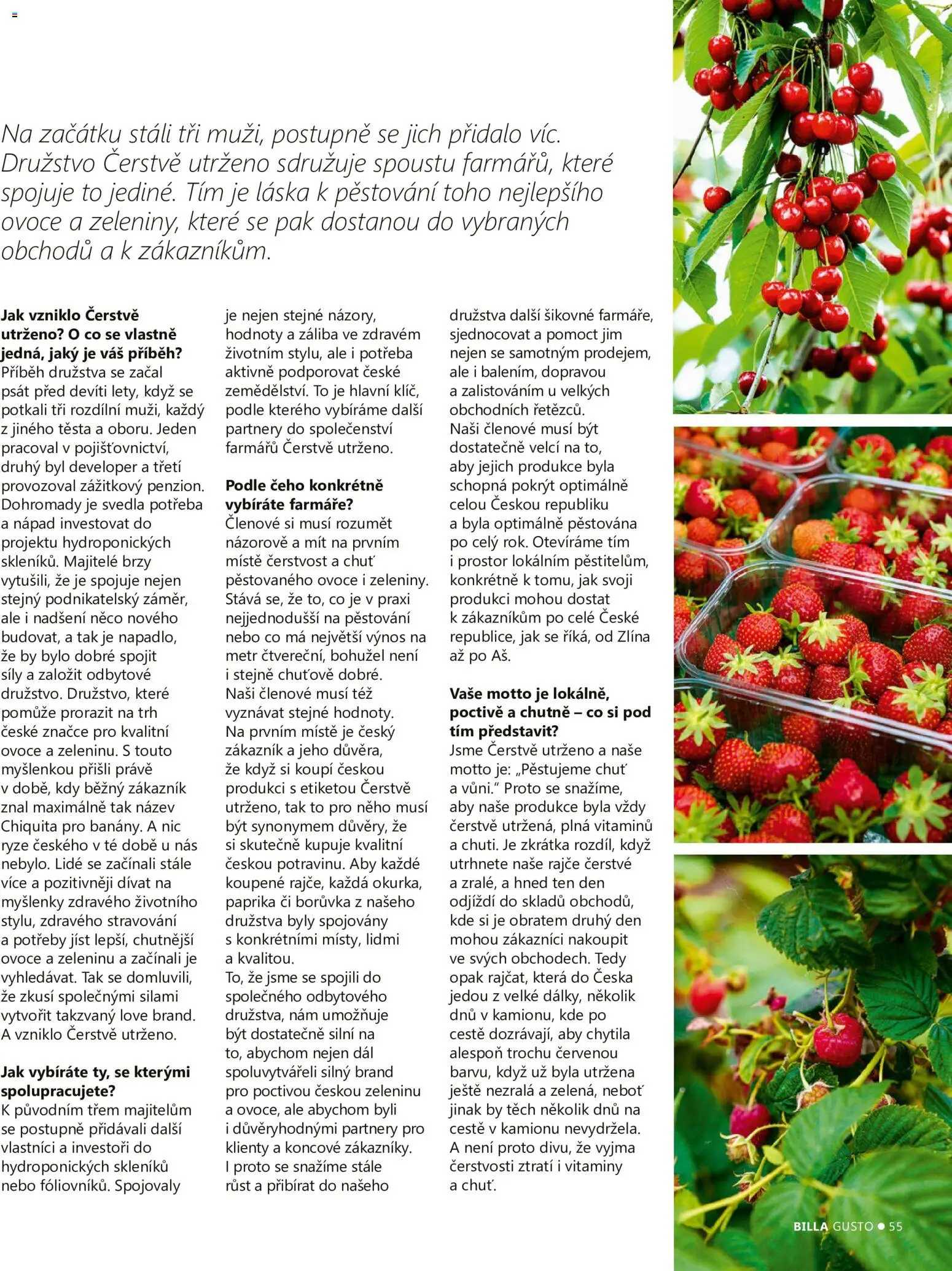 Billa leták - Gusto: Léto 2026 od 01.06.2026 | Strana: 55 | Produkty: Ovoce, Rýže, Vitamíny, Paprika