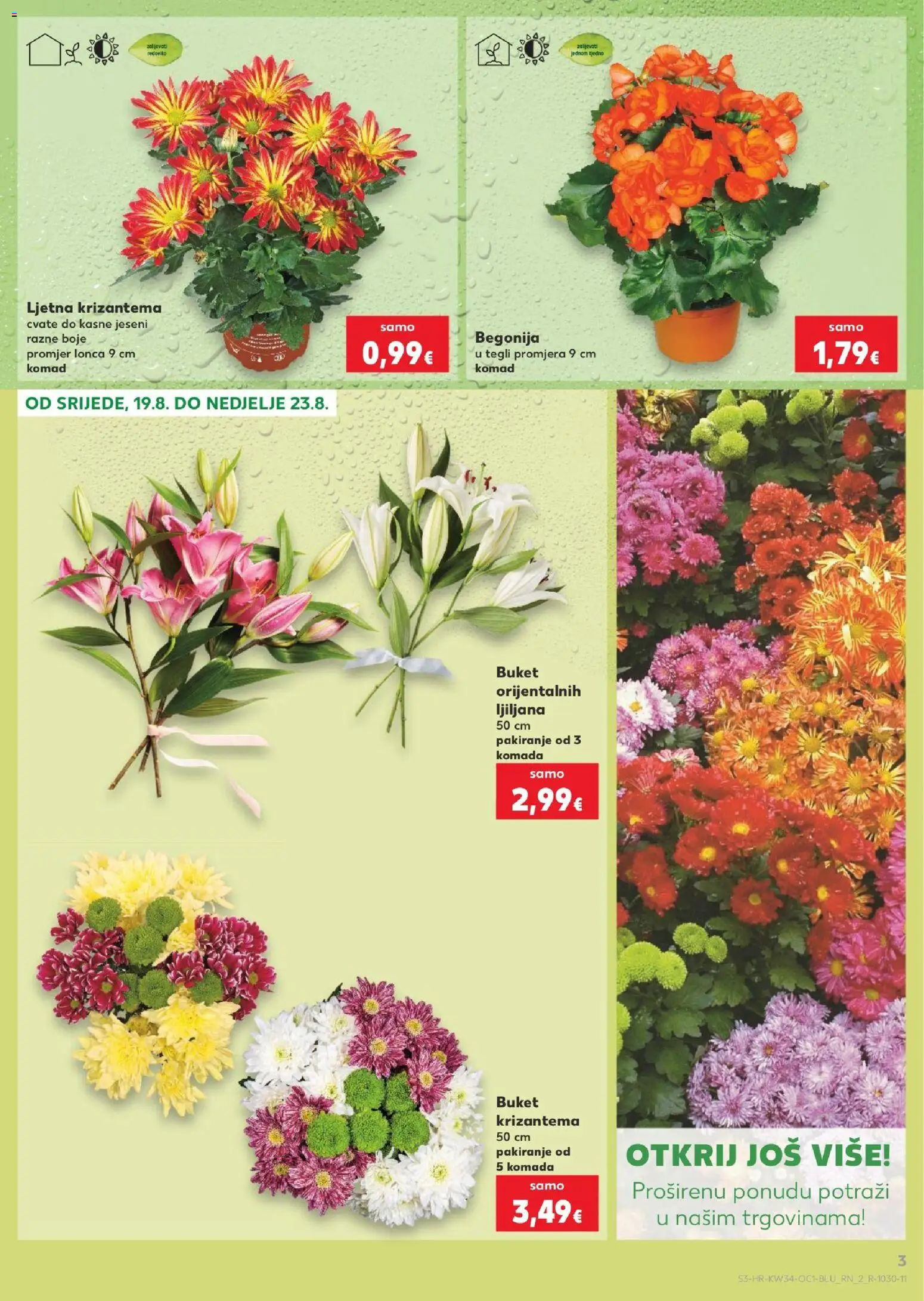 Kaufland katalog | vrijedi od 19.08.2026 | Stranica: 3 | Proizvodi: Buket
