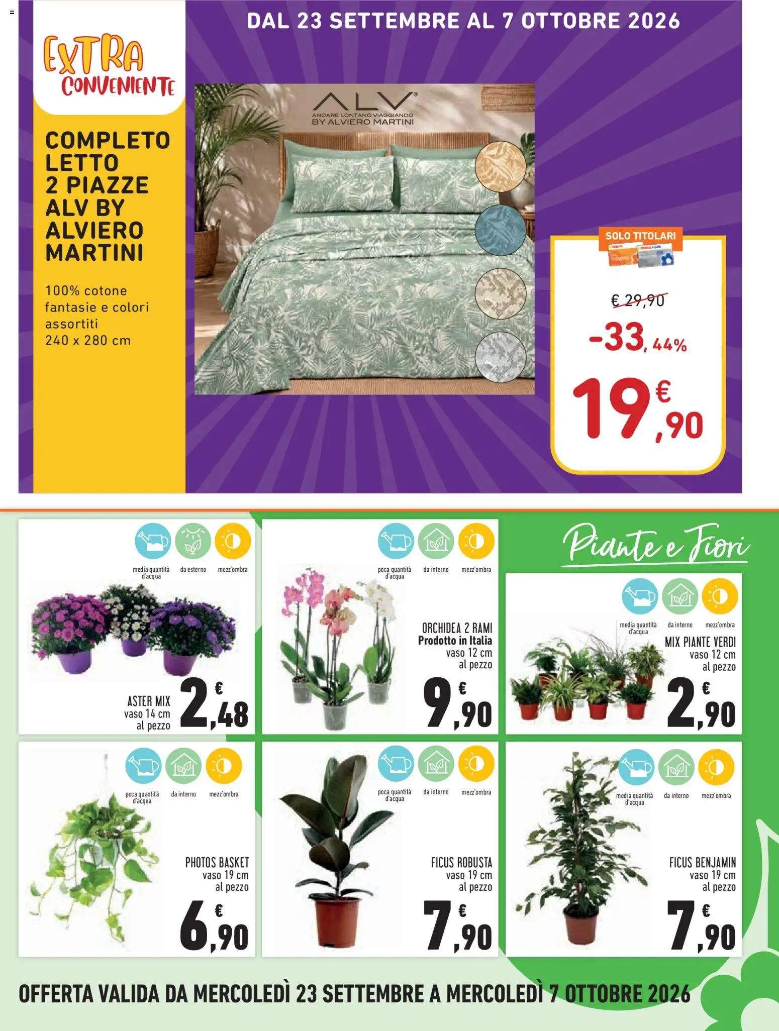 Volantino Conad del 23/09/2026 | Pagina: 15 | Prodotti: Martini, Fiori, Orchidea, Letto