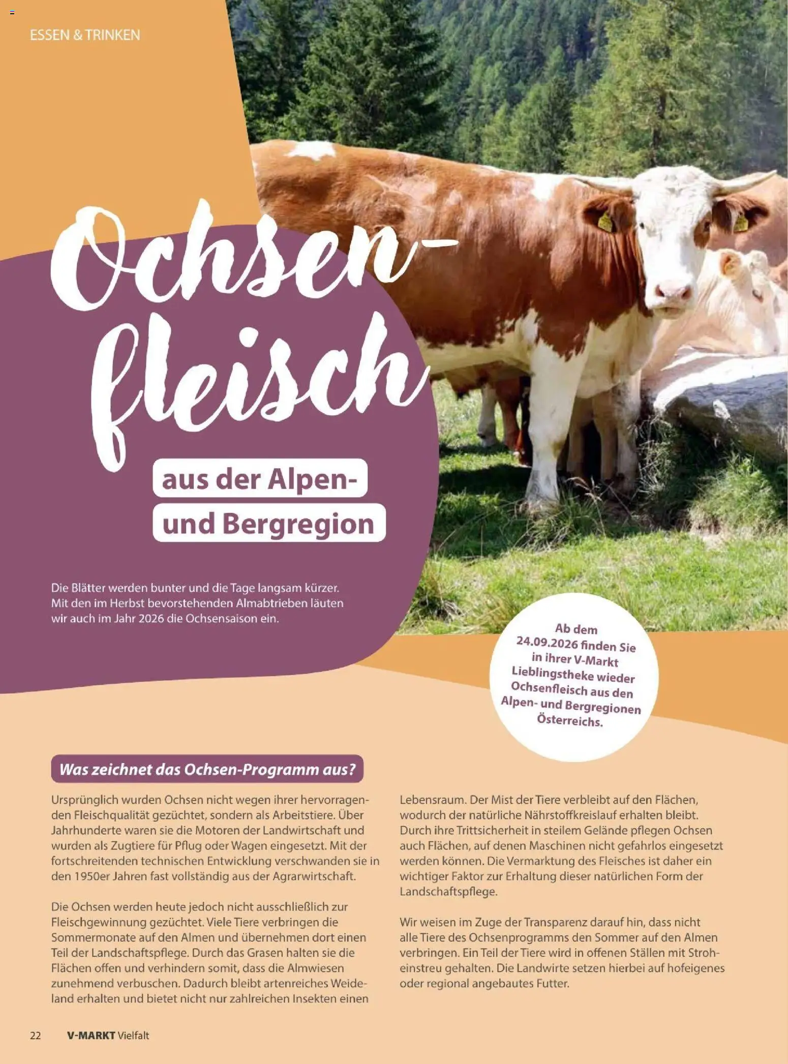 V-Markt Vielfals September / Oktober – gültig ab 01.09.2026 | Seite: 22 | Produkte: Fleisch