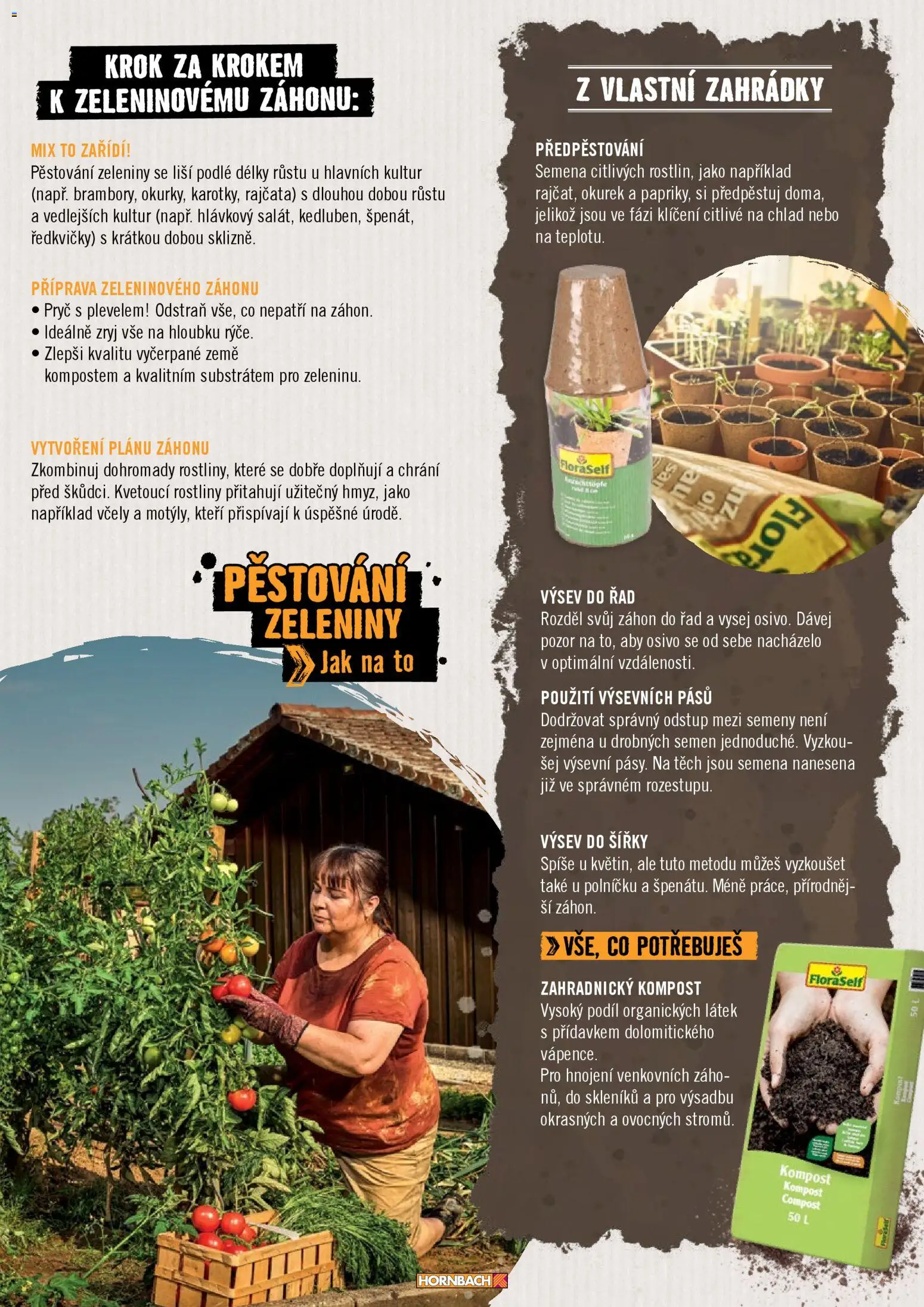 HORNBACH leták - Zahrada od 01.01.2026 | Strana: 7 | Produkty: Rajčata, Rostliny, Ředkvičky, Flora
