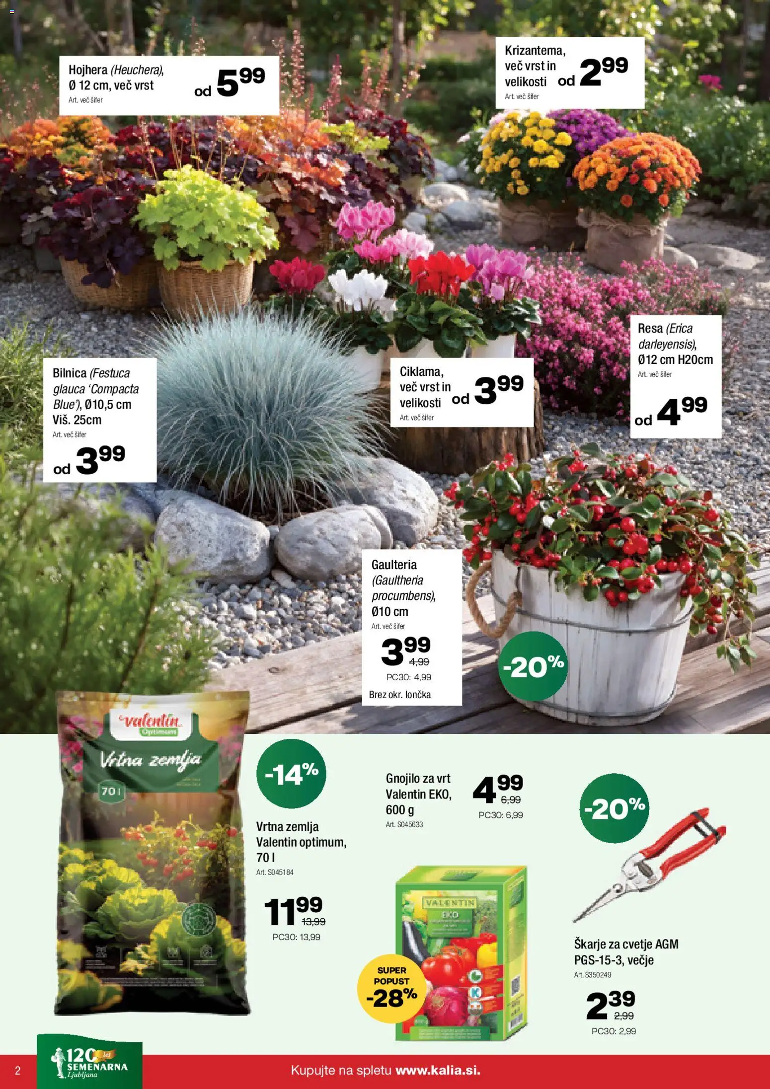 Novi Kalia katalog ponudbe – veljaven od 31.08.2026 | Stran: 2 | Izdelki: Žemlja, Cvetje