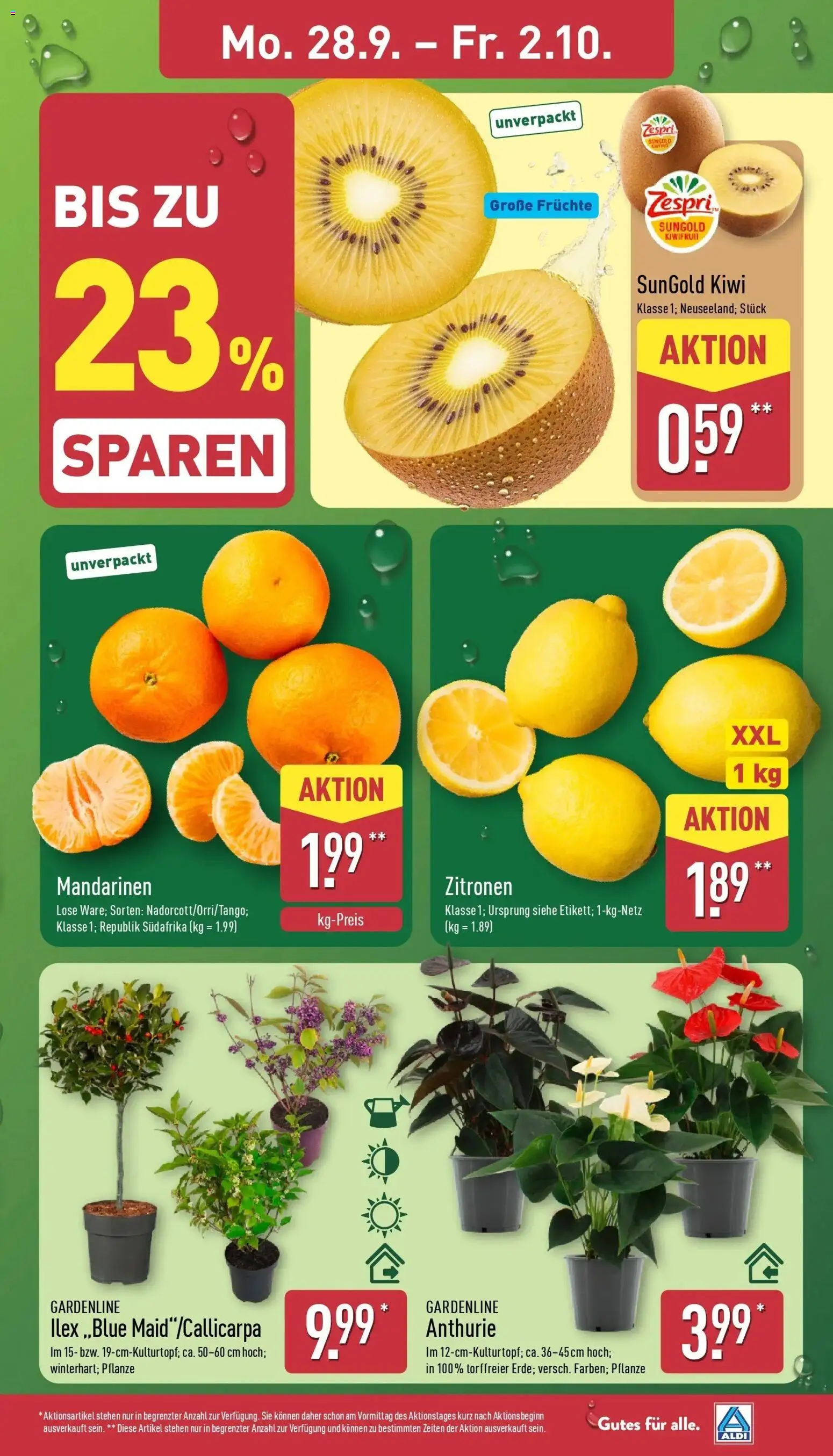 Aldi Aktueller Prospekt (ab 28.09.2026) » Angebote Online | Seite: 3 | Produkte: Mandarinen, Kiwi, Zitronen