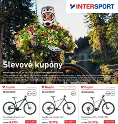 Náhled letáku Intersport leták od 10.06.2026