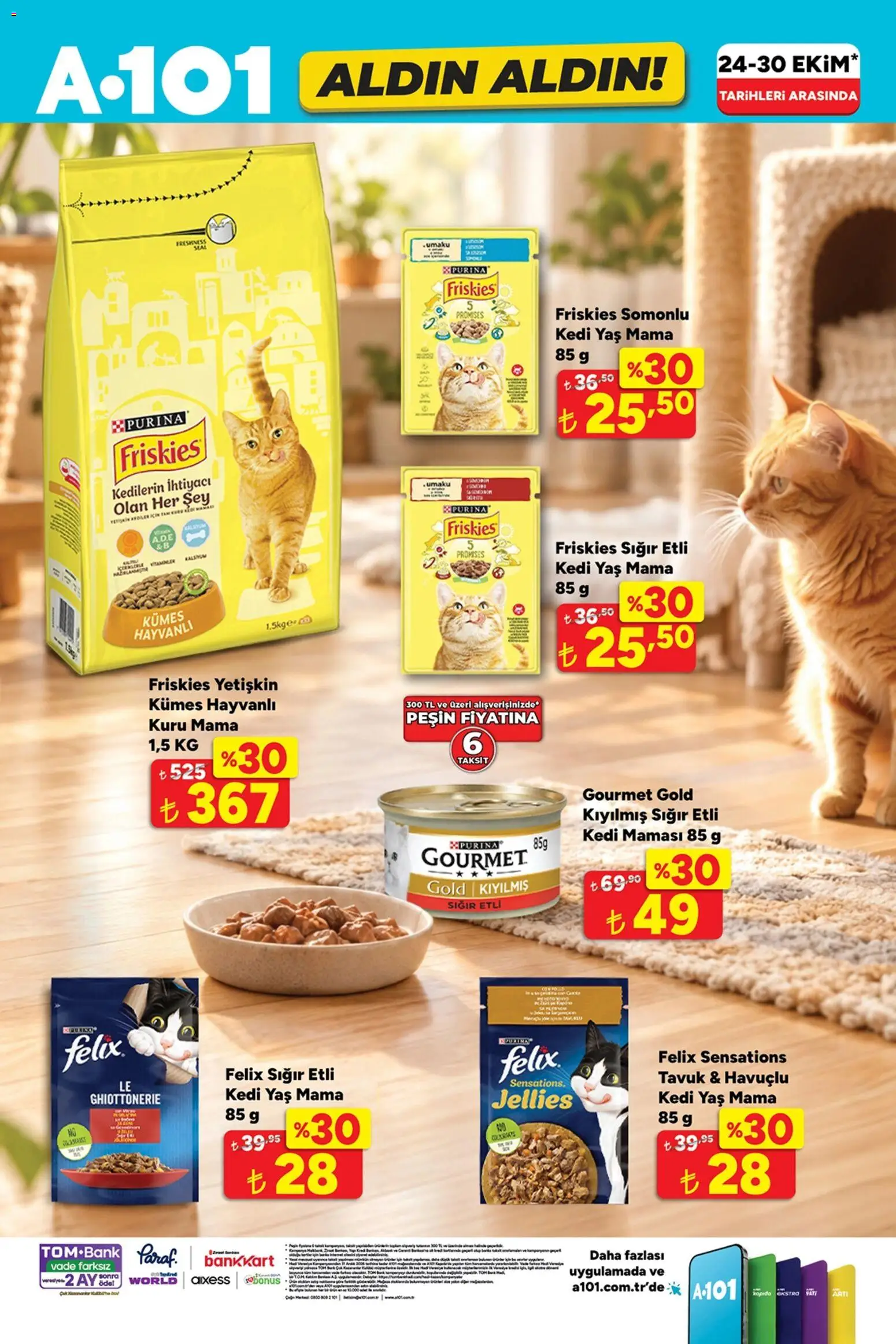A101 - Katalog Aldın Aldın - 29 Ekim 2026 tarihinden itibaren geçerlidir | Sayfa: 13 | Ürünler: Kedi maması